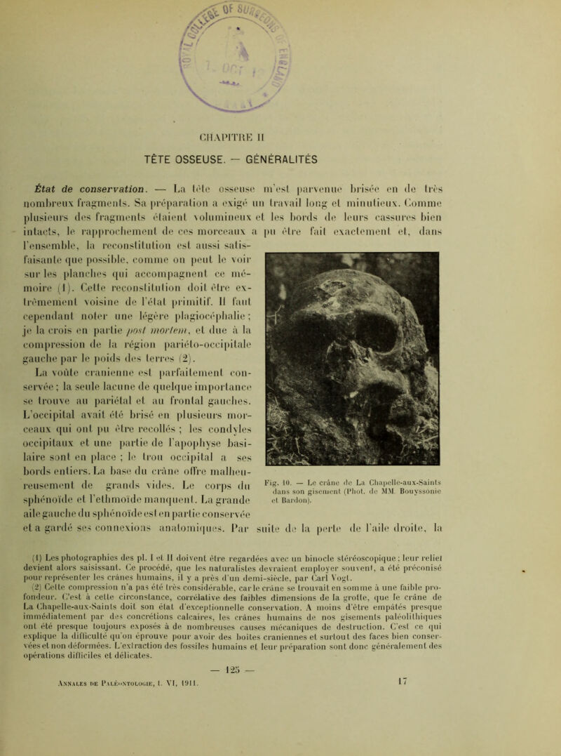 CHAPITRE II TÊTE OSSEUSE. - GÉNÉRALITÉS État de conservation. — La tôle osseuse m’est parvenue brisée en de 1res nombreux fragments. Sa préparation a exigé un travail long et minutieux. Comme plusieurs des fragments étaient volumineux et les bords de leurs cassures bien intacts, le rapprochement de ces morceaux a pu être fait exactement et, dans l’ensemble, la reconstitution est aussi satis- faisante que possible, comme on peut le voir sur les planches qui accompagnent ce mé- moire (1). Cette reconstitution doit être ex- trêmement voisine de l'état primitif. Il faut cependant noter une légère plagiocéphalie ; je la crois en partie post morlem, et due à la compression de la région pariéto-occipitale gauche par le poids des terres (2). La voi'ite crânienne est parfaitement con- servée ; la seule lacune de quelque importance se trouve au pariétal et au frontal gauches. L’occipital avait été brisé en plusieurs mor- ceaux qui ont pu être recollés ; les condyles occipitaux et une partie de l’apophyse basi- laire sont en place ; le trou occipital a ses bords entiers. La base du crâne offre malheu- reusement de grands vides. Le corps du sphénoïde et l’ethmoïde manquent. La grande aile gauche du sphénoïde est en partie conservée et a gardé ses connexions anatomiques. Par suite de la perte' de l'aile droite, la Fig. 10. — Le crâne de La Chapelle-aux-Saints dans son gisement (l'hot. de MM. Bouyssonie et Bardon). (1) Les photographies des pl. I et H doivent être regardées avec un binocle stéréoscopique; leur relie! devient alors saisissant. Ce procédé, que les naturalistes devraient employer souvent, a été préconisé pour représenter les crânes humains, il y a près d’un demi-siècle, par Cari Vogt. (2) Celte compression n’a pas été très considérable, carie crâne se trouvait en somme à une faible pro- fondeur. C’est à cetLe circonstance, corrélative des faibles dimensions de la grotte, cjue le crâne de La Chapelle-aux-Saints doit son état d’exceptionnelle conservation. A moins d’ètre empâtés presque immédiatement par des concrétions calcaires, les crânes humains de nos gisements paléolithiques ont été presque toujours exposés à de nombreuses causes mécaniques de destruction. C’est ce qui explique la difficulté qu’on éprouve pour avoir des boites crâniennes et surtout des faces bien conser- vées et non déformées. L'extraction des fossiles humains et leur préparation sont donc généralement des opérations difficiles et délicates. — 125 — Annales t>e Paléontologie, t. VI, 1911.