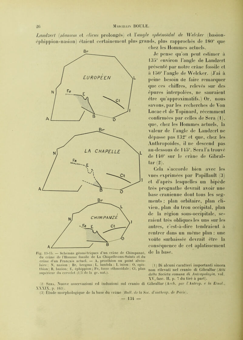 Br Landzerl (,nlanu/n et cl'wus prolongés) et l'angle sphénoïdal de Welcker (basion- ephippion-nasion) étaient certainement plus grands, plus rapprochés de 180° que chez les Hommes actuels. Je pense qu’on peut estimer à 135° environ l’angle de Landzert présenté par notre crâne fossile et à 150° l’angle de Welcker. (J'ai à peine besoin de faire remarquer que ces chiffres, relevés sur des épures interpolées, ne sauraient être qu’approximatifs.) Or, nous savons, par les recherches de N on Lucae et de Topinard, récemment confirmées par celles de Sera (1), que, chez les Hommes actuels, la valeur de l’angle de Landzert ne dépasse pas 132° et que, chez les Anthropoïdes, il ne descend pas au-dessous de 14o°. Sera l’a trouvé de 140° sur le crâne de Gibral- tar (2). Cela s’accorde bien avec les vues exprimées par Papillault (3) et d’après lesquelles un bipède très prognathe devrait avoir une base crânienne dont tous les seg- ments : plan orbitaire, plan cli- vien, plan du trou occipital, plan de la région sous-occipitale, se- raient très obliques les uns sur les autres, c’est-à-dire tendraient à rentrer dans un même plan : une voûte surbaissée devrait être la conséquence de cet aplatissement de la base. Fig. 13-15. — Schémas géométriques d’un crâne de Chimpanzé, du crâne de l’Homme fossile de La Chapelle-nux-Sainls et du crâne d’un Français actuel. — A, prosthion ou point alvéo- laire; N, nasion; Br, bregma ; L, lambda: I, inion; O, opis- thion; B, basion: K, éphippion ; Fe, fosse ethmoïdalc; Ct, plan supérieur du cervelet (1/3 de la gr. nat.). (I) Di alcuni caralleri importanti sinora non ri le val i nel cranio di Gibraltar (Atti délia Societa romana di Anlropologia. vol. XYr, l'asc. Il, ]). 7 du tiré à part). (2 Sera, Nuove osservazioni cd induzioni sul cranio di Gibraltar (.4rch. per VAntrop. e la Elnol., XX.\IX, p. 163). (3) Etude morphologique de la base du crâne (Bull, de la Soc. d'anthrop. de Paris .