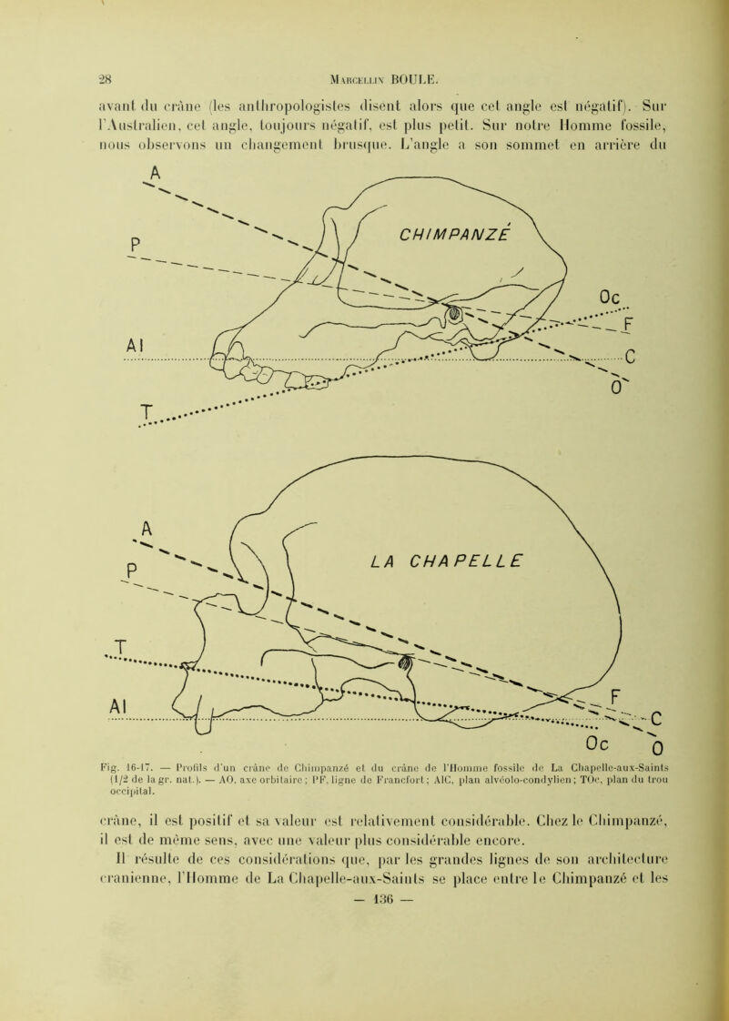 avant du crâne (les anthropologistes disent alors que cet angle est négatif). Sur l’Australien, cet angle, toujours négatif, est plus petit. Sur notre Homme fossile, nous observons un changement brusque. L’angle a son sommet en arrière du Fig. 16-17. — Profils d'un crâne do Chimpanzé et du crâne de l’Homme fossile de La Chapellc-aux-Saints (1/2 de lagr. nat.). — AO. axe orbitaire ; PF. ligne de Francfort; A1C. plan alvéolo-condylien ; TOc, plan du trou occipital. crâne, il est positif et sa valeur est relativement considérable. Chez le Chimpanzé, il est de même sens, avec une valeur plus considérable encore. Il résulte de ces considérations que, par les grandes lignes de son architecture crânienne, l’Homme de La Chapelle-aux-Saints se place entre le Chimpanzé et les