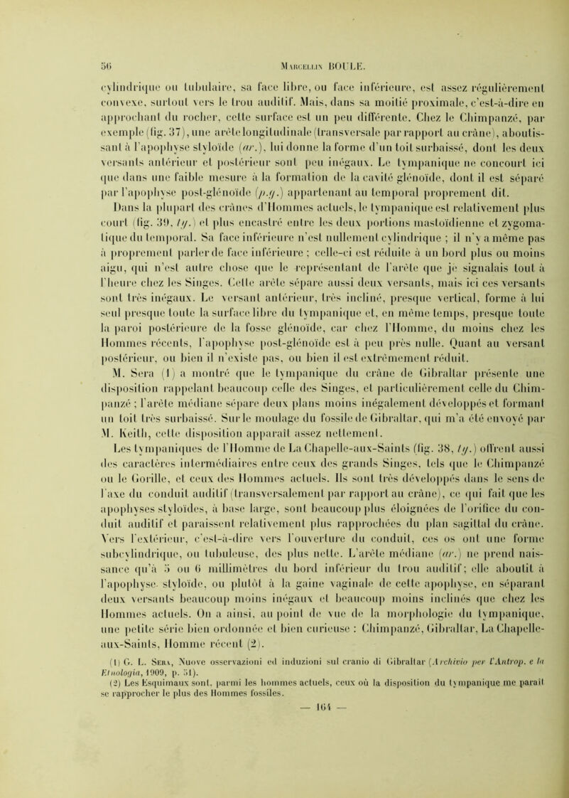 cylindrique ou tubulaire, sa l'ace libre, ou face inférieure, est assez régulièrement convexe, surtout vers le trou auditif*. Mais, dans sa moitié proximale, c’est-à-dire en approchant du rocher, cette surface est un peu différente. Chez le Chimpanzé, par exemple (tig. 37), une arête longitudinale (transversale par rapport au crâne), aboutis- sant à l’apophyse styloïdc (a;*.), lui donne la forme d’un toit surbaissé, dont les deux versants antérieur et postérieur sont peu inégaux. Le tympaniquc ne concourt ici que dans une faible mesure à la formation de la cavité glénoïde, dont il est séparé par l’apophyse post-glénoïde (p.y.) appartenant au temporal proprement dit. Dans la plupart des crânes d’Hommes actuels, le tympaniquc est relativement plus court (fig. 39, ///.) et plus encastré entre les deux portions mastoïdienne et zygoma- tique du temporal. Sa face inférieure n’est nullement cylindrique ; il n’y a même pas à proprement parler de face inférieure ; celle-ci est réduite à un bord plus ou moins aigu, qui n’est autre chose que le représentant de l’arèle que je signalais tout à l’heure chez les Singes. Celle arête sépare aussi deux versants, mais ici ces versants sont très inégaux. Le versant antérieur, très incliné, presque vertical, forme à lui seul presque toute la surface libre du tympaniquc et, en même temps, presque toute la paroi postérieure de la fosse glénoïde, car chez l’Homme, du moins chez les Hommes récents, l’apophyse post-glénoïde est à peu près nulle. Quant au versant postérieur, ou bien il n’existe pas, ou bien il est extrêmement réduit. M. Sera (1) a montré que le tympanique du crâne de Gibraltar présente une disposition rappelant beaucoup celle des Singes, et particulièrement celle du Chim- panzé ; l’arête médiane sépare deux plans moins inégalement développés et formant un toit très surbaissé. Sur le moulage du fossile de Gibraltar, qui m’a été envoyé par M. Keith, cette disposition apparaît assez nettement. Les tympaniqucs de l’Homme de La Ghapelle-aux-Saints (fig. 38, /y.) offrent aussi des caractères intermédiaires entre ceux des grands Singes, tels que le Chimpanzé ou le Gorille, et ceux des Hommes actuels. Ils sont très développés dans le sens de l’axe du conduit auditif (transversalement par rapportai! crâne), ce qui fait que les apophyses styloïdes, à hase large, sont beaucoup plus éloignées de l’orifice du con- duit auditif et paraissent relativement plus rapprochées du plan sagittal du crâne. Vers l’extérieur, c’est-à-dire vers l’ouverture du conduit, ces os ont une forme subcvlindrique, ou tubuleuse, des plus nette. L’arèle médiane [ar.) ne prend nais- sance qu’à o ou G millimètres du bord inférieur du trou auditif; elle aboutit à l’apophyse- styloïde, ou plutôt à la gaine vaginale de celte apophyse, en séparant deux versants beaucoup moins inégaux et beaucoup moins inclinés que chez les Hommes actuels. On a ainsi, au point de vue de la morphologie du tympanique, une petite série bien ordonnée et bien curieuse : Chimpanzé, Gibraltar, La Chapelle- aux-Saints, Homme récent (2). (D G. L. Sera, Nuove osscrvazioni ed induzioni sut cranio di Gibraltar (Archivio per l'Anlrop. e la Etnologia, 1909, p. ”>1). (2) Les Esquimaux sont, parmi les hommes actuels, ceux où la disposition du tympanique me paraît se rapprocher le plus des Hommes fossiles. — 161 —