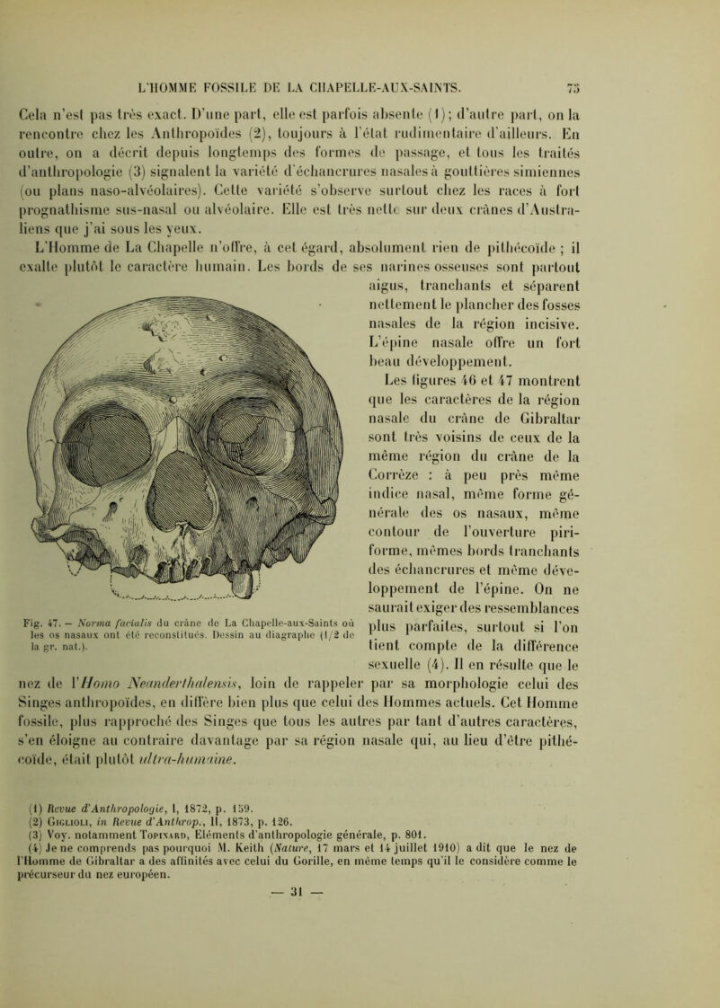 Cela n’est pas très exact. D’une part, elle est parfois absente (t); d’autre part, on la rencontre chez les Anthropoïdes (2), toujours à l’état rudimentaire d’ailleurs. En outre, on a décrit depuis longtemps des formes de passage, et tous les traités d’anthropologie (3) signalent la variété d'échancrures nasales à gouttières simiennes (ou plans naso-alvéolaires). Cette variété s’observe surtout chez les races à fort prognathisme sus-nasal ou alvéolaire. Elle est très nette sur deux crânes d’Austra- liens que j’ai sous les yeux. L'Homme de La Chapelle n’ofFre, à cet égard, absolument rien de pithécoïde ; il exalte plutôt le caractère humain. Les bords de ses narines osseuses sont partout aigus, tranchants et séparent nettement le plancher des fosses nasales de la région incisive. L’épine nasale offre un fort beau développement. Les figures 46 et 47 montrent que les caractères de la région nasale du crâne de Gibraltar sont très voisins de ceux de la même région du crâne de la Corrèze : à peu près même indice nasal, même forme gé- nérale des os nasaux, même contour de l’ouverture piri- forme, mêmes bords tranchants des échancrures et même déve- loppement de l’épine. On ne saurait exiger des ressemblances Fig. 47. — Norma fcicialis du crâne de La Chapelle-aux-Saints où plus parfaites Surtout si l’oil les os nasaux ont été reconstitués. Dessin au diagraphe (1/2 do *. * ’ lagr. nat.). tient compte de la différence sexuelle (4). Il en résulte que le nez de Y Homo Neanderthalemis, loin de rappeler par sa morphologie celui des Singes anthropoïdes, en diffère bien plus que celui des Hommes actuels. Cet Homme fossile, plus rapproché des Singes que tous les autres par tant d’autres caractères, s’en éloigne au contraire davantage par sa région nasale qui, au lieu d’être pithé- coïde, était plutôt ultra-humaine. (1) Revue d'Anthropologie, l, 1872, p. 159. (2) Giglioli, in Revue d’Anthrop., Il, 1873, p. 126. (3) Voy. notamment Topinard, Eléments d’anthropologie générale, p. 801. (4) Je ne comprends pas pourquoi M. Keith (Nature, 17 mars et 14 juillet 1910) a dit que le nez de l’Homme de Gibraltar a des affinités avec celui du Gorille, en même temps qu’il le considère comme le précurseur du nez européen. — 31 —