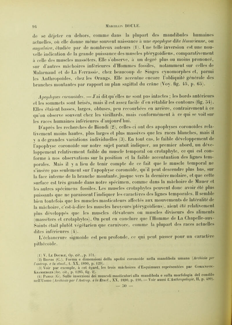 de se déjeter en dehors, comme dans la plupart des mandibules humaines actuelles, oii elle donne même souvent naissance à une apophyse dite lémurienne, ou angulaire, étudiée par de nombreux auteurs (1). L ue telle inversion est une nou- velle indication de la grande puissance des muscles ptérygoïdiens, comparativement à celle des muscles masséters. Elle s’observe, à un degré plus ou moins prononcé, sur d’autres mâchoires inférieures d’Hommes fossiles, notamment sur celles de Malarnaud et de La Ferrassie, chez beaucoup de Singes cynomorphes et, parmi les Anthropoïdes, chez les Orangs. Elle accentue encore l’obliquité générale des branches montantes par rapport au plan sagittal du crâne (Voy. Fig. 45, p. 65). Apophyses coronoïdes. — J ai dit qu’elles ne sont pas intactes ; les bords antérieurs et les sommets sont brisés, mais il est assez facile d en rétablir les contours (fig. 54). Elles étaient basses, larges, obtuses, peu recourbées en arrière, contrairement à ce qu’on observe souvent chez les vieillards, mais conformément à ce qui se voit sur les races humaines inférieures d’aujourd’hui. D’après les recherches de Biondi (2), celles-ci ont des apophyses coronoïdes rela- tivement moins hautes, plus larges et plus massives que les races blanches, mais il y a de grandes variations individuelles (3). En tout cas, le faible développement de l’apophyse coronoïde sur notre sujet paraît indiquer, au premier abord, un déve- loppement relativement faible du muscle temporal ou crotaphyte, ce qui est con- forme à nos observations sur la position et la faible accentuation des lignes tem- porales. Mais il y a lieu de tenir compte de ce fait que le muscle temporal ne s’insère pas seulement sur l’apophyse coronoïde, qu il peut descendre plus bas, sur la face interne de la branche montante, jusque vers la dernière molaire, et que cette surface est très grande dans notre spécimen, comme dans la mâchoire de Mauer et les autres spécimens fossiles. Les muscles crotaphytes peuvent donc avoir été plus puissants que ne paraissent l’indiquer les caractères des lignes temporales. Il semble bien toutefois que les muscles masticateurs affectés aux mouvements de latéralité de la mâchoire, c’est-à-dire les muscles broyeurs (ptérygoïdiens), aient été relativement plus développés que les muscles élévateurs ou muscles diviseurs des aliments (masséters et crotaphytes). On peut en conclure que 1 Homme de La Chapelle-aux- Saints était plutôt végétarien que carnivore, comme la plupart des races actuelles dites inférieures (4). L’échancrure sigmoïde est peu profonde, ee qui peut passer pour un caractère pithécoïde. (1) V. Le Doible, Op. cit., p. 371. (2) Biondi (C.), Forma e dimensioni délia apcdisi coronoide nella mandibola umana (Archivio pei l'antrop. e la etnol., t. XX, 1890, p. 129). (3) Voir par exemple, à cel égard, les trois mâchoires d'Esquimaux représentées par Gorjanovk- KrAMBERGER [l0C. tit., p. 1283, fig. 2). . (4) Parigi (G). Sulle inserzioni dei muscoli masticatori alla mandibola e su lia morfologia del condilo neirUomo [Archivio per l'Antrop. e la Etnol., XX, 18.90, p. 190. — Voir aussi LA ntliropolo<jie, 11, p. *9.i). — 30 —