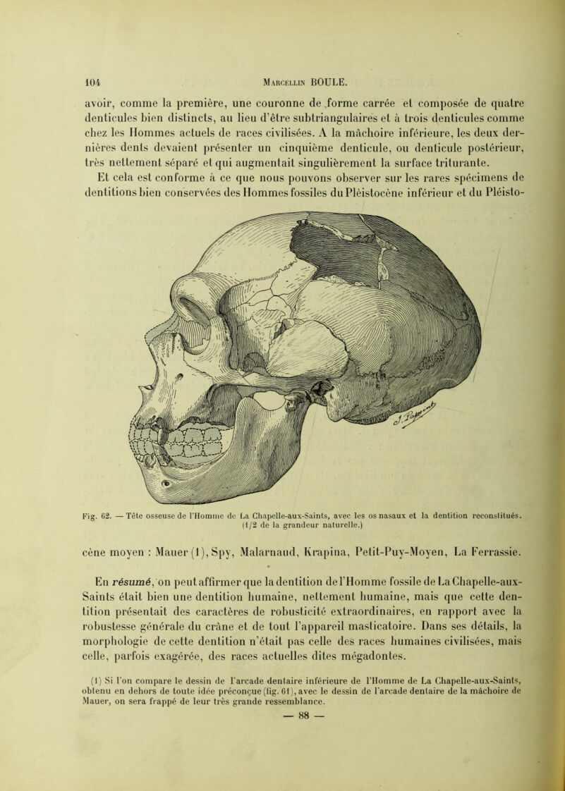 avoir, comme la première, une couronne de .forme carrée et composée de quatre dentiçules bien distincts, au lieu d’être subtriangulaires et à trois denticules comme chez les Hommes actuels de races civilisées. A la mâchoire inférieure, les deux der- nières dents devaient présenter un cinquième denticule, ou denticule postérieur, très nettement séparé et qui augmentait singulièrement la surface triturante. Et cela est conforme à ce que nous pouvons observer sur les rares spécimens de dentitions bien conservées des Hommes fossiles duPlèistocène inférieur et du Pléisto- Fig. 62. —Tète osseuse de l’Homme de La Chapclle-aux-Saints, avec les os nasaux et la dentition reconstitués. (1/2 de la grandeur naturelle.) cène moyen : Mauer (1), Spy, Malarnaud, Krapina, Petit-Puy-Moyen, La Ferrassie. En résumé, on peut affirmer que la dentition de l’Homme fossile de LaChapelle-aux- Saints était bien une dentition humaine, nettement humaine, mais que cette den- tition présentait des caractères de robusticité extraordinaires, en rapport avec la robustesse générale du crâne et de tout l’appareil masticatoire. Dans ses détails, la morphologie de cette dentition n’était pas celle des races humaines civilisées, mais celle, parfois exagérée, des races actuelles dites mégadontes. (1) Si l’on compare le dessin de l'arcade dentaire inférieure de l’Homme de La Chapelle-aux-Sainls, obtenu en dehors de toute idée préconçue (fig. 61), avec le dessin de l'arcade dentaire de la mâchoire de Mauer, on sera frappé de leur très grande ressemblance. — 88 —