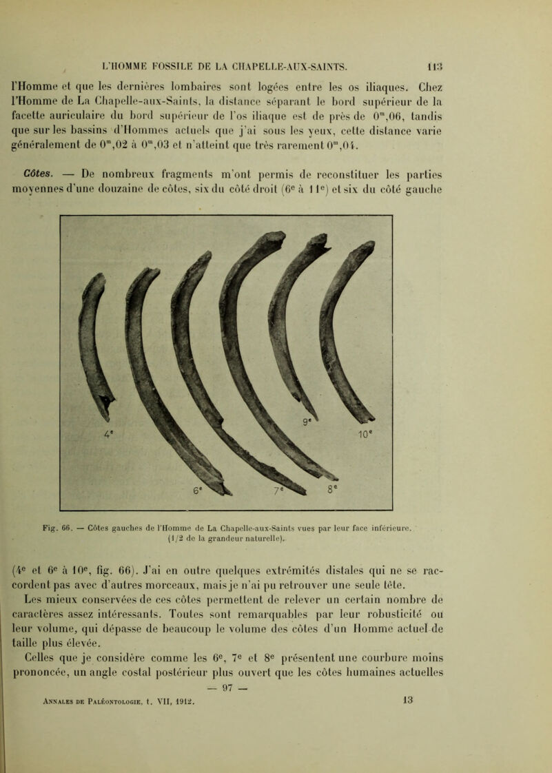 l'Homme et que les dernières lombaires sont logées entre les os iliaques. Chez l’Homme de La Chapelle-aux-Saints, la distance séparant le bord supérieur de la facette auriculaire du bord supérieur de l’os iliaque est de près de 0m,0G, tandis que sur les bassins d’Hommes actuels que j’ai sous les yeux, cette distance varie généralement de O”,02 à 0m,03 et n’atteint que très rarement 0m,04. Côtes. — De nombreux fragments m'ont permis de reconstituer les parties moyennes d’une douzaine de côtes, six du côté droit (6e à I Ie) et six du côté gauche Fig. 66. — Côtes gauches de l’Homme de La Chapelle-aux-Saints vues par leur face inférieure. (1/2 de la grandeur naturelle). (4e et 6e à 10e, fig. 66). J’ai en outre quelques extrémités distales qui ne se rac- cordent pas avec d’autres morceaux, mais je n’ai pu retrouver une seule tète. Les mieux conservées de ces côtes permettent de relever un certain nombre de caractères assez intéressants. Toutes sont remarquables par leur robusticité ou leur volume, qui dépasse de beaucoup le volume des côtes d’un Homme actuel de taille plus élevée. Celles que je considère comme les 6e, 7e et 8e présentent une courbure moins prononcée, un angle costal postérieur plus ouvert que les côtes humaines actuelles — 97 — Annales de Paléontologie, t. VII, 1912. 13