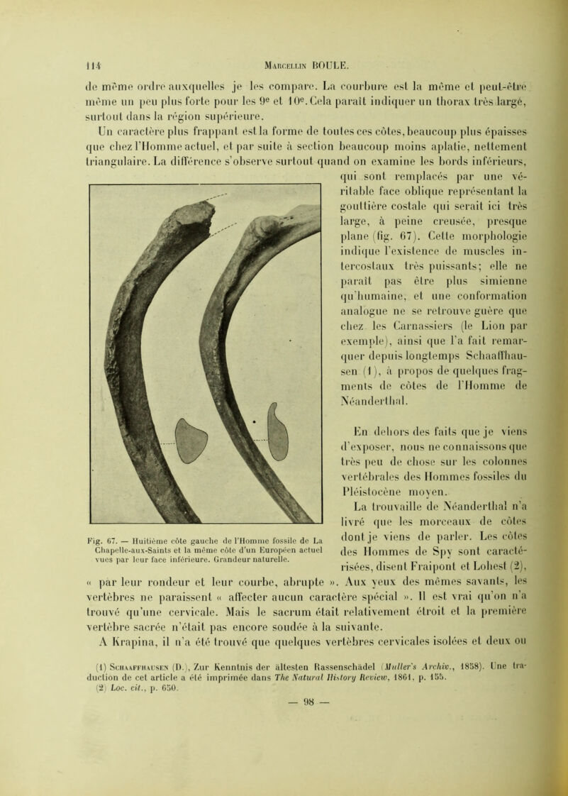 <le même ordre auxquelles je les compare. La courbure est la même et peut-être même un peu plus forte pour les 0e et 10e. Cela paraît indiquer un thorax très largê, surtout dans la région supérieure. Un caractère plus frappant est la forme de tontes ces côtes, beaucoup plus épaisses que chez l’Homme actuel, et par suite à section beaucoup moins aplatie, nettement triangulaire. La différence s’observe surtout quand on examine les bords inférieurs, qui sont remplacés par une vé- ritable face oblique représentant la gouttière costale qui serait ici très large, à peine creusée, presque plane (fig. 07). Cette morphologie indique l’existence de muscles in- tercostaux très puissants; elle ne parait pas être plus simienne qu’humaine, et une conformation analogue ne se retrouve guère que chez les Carnassiers (le Lion par exemple), ainsi que l’a fait remar- quer depuis longtemps Schaaffhau- sen (1), à propos de quelques frag- ments de côtes de l’Homme de Néanderthal. En dehors des faits que je viens d’exposer, nous ne connaissons que très peu de chose sur les colonnes vertébrales des Hommes fossiles du Pléistocène moyen. La trouvaille de Néanderthal n’a livré que les morceaux de côtes Fig. 67. — Huitième côte gauche de l’Homme fossile de La dont je \1CI1S de pal 1(1. Les CÔtCS Chapelle-aux-Saints et la même côte d’un Européen actuel (|gg Hommes de Spy SOlît caraclé vues par leur face inférieure. Grandeur naturelle. . . * _ . risées, disent rraipont et Lonest (zj, « par leur rondeur et leur courbe, abrupte ». Aux yeux des mêmes savants, les vertèbres ne paraissent « affecter aucun caractère spécial ». Il est vrai qu’on n’a trouvé qu’une cervicale. Mais le sacrum était relativement étroit et la première vertèbre sacrée n’était pas encore soudée à la suivante. A Krapina, il n’a été trouvé que quelques vertèbres cervicales isolées et deux ou (1) Schaaffhausen (D.), Zuc Kenntnis der altesten Rassenschadel (Milliers Arehiv., 1858). Une tra- duction de cet article a été imprimée dans The Natural Ilia tory Revicw, 1861, p. 155. (2) Loc. cil., p. 650.