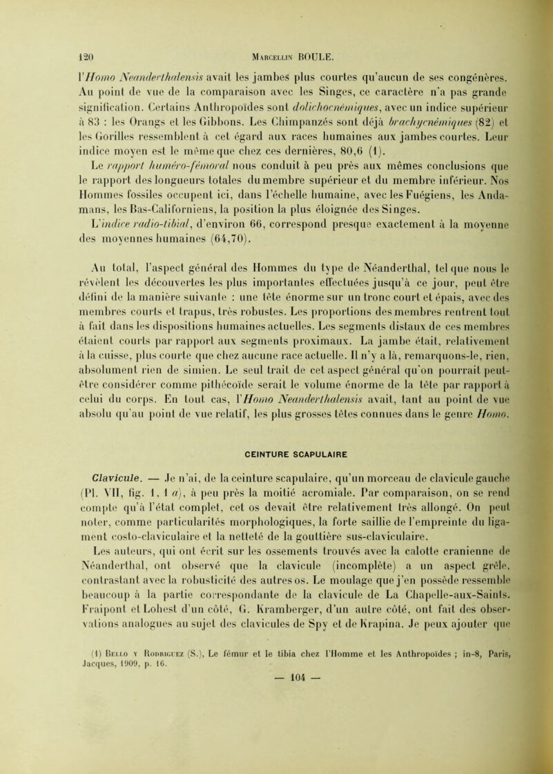 Y Homo Neanderthalenm avait les jambes plus courtes qu’aucun de ses congénères. Au point de vue de la comparaison avec les Singes, ce caractère n'a pas grande signification. Certains Anthropoïdes sont dolichocnémiques, avec un indice supérieur à 83 : les Orangs et les Gibbons. Les Chimpanzés sont déjà brachycnémiques (82) et les Gorilles ressemblent à cet égard aux races humaines aux jambes courtes. Leur indice moyen est le même que chez ces dernières, 80,6 (1). Le rapport huméro-fémoral nous conduit à peu près aux mêmes conclusions que le rapport des longueurs totales du membre supérieur et du membre inférieur. Nos Hommes fossiles occupent ici, dans l’échelle humaine, avec les Fuégiens, les Anda- mans, les Bas-Californiens, la position la plus éloignée des Singes. L'indice radio-tibial, d’environ 66, correspond presque exactement à la moyenne des moyennes humaines (64,70). Au total, l’aspect général des Hommes du type de xNéanderthal, tel que nous le révèlent les découvertes les plus importantes effectuées jusqu’à ce jour, peut être défini de la manière suivante : une tête énorme sur un tronc court et épais, avec des membres courts et trapus, très robustes. Les proportions des membres rentrent tout à fait dans les dispositions humaines actuelles. Les segments distaux de ces membres étaient courts par rapport aux segments proximaux. La jambe était, relativement à la cuisse, plus courte que chez aucune race actuelle. Il n’y a là, remarquons-le, rien, absolument rien de simien. Le seul trait de cet aspect général qu'on pourrait peut- être considérer comme pithécoïde serait le volume énorme de la tête par rapport à celui du corps. En tout cas, Y Homo Neanderthalenm avait, tant au point de vue absolu qu’au point de vue relatif, les plus grosses tètes connues dans le genre Homo. CEINTURE SCAPULAIRE Clavicule. — Je n’ai, de la ceinture scapulaire, qu’un morceau de clavicule gauche (PI. VII, tîg. 1, 1 a), à peu près la moitié acromiale. Par comparaison, on se rend compte qu’à l’état complet, cet os devait être relativement très allongé. On peut noter, comme particularités morphologiques, la forte saillie de l’empreinte du liga- ment costo-claviculaire et la netteté de la gouttière sus-claviculaire. Les auteurs, qui ont écrit sur les ossements trouvés avec la calotte crânienne de Néanderthal, ont observé que la clavicule (incomplète) a un aspect grêle, contrastant avec la robusticité des autres os. Le moulage que j’en possède ressemble beaucoup à la partie correspondante de la clavicule de La Chapelle-aux-Sainls. Fraipont etLohest d’un côté, G. Kramberger, d’un autre côté, ont fait des obser- vations analogues au sujet des clavicules de Spy et de Krapina. Je peux ajouter que [\) Bei.lo y Rodriguez (S.), Le fémur et le tibia chez l’Ilomme et les Anthropoïdes ; in-8, Paris, Jacques, 1909, p. 16. 104 —