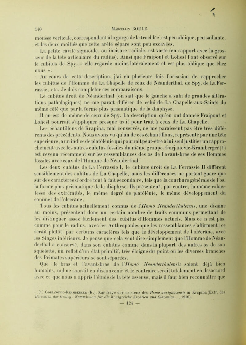 mousse verticale, correspondant à la gorge delà trochlée,est peu oblique, peu saillante, et les deux moitiés que cette arête sépare sont peu excavées. La petite cavité sigmoïde, ou incisure radiale, est vaste (en rapport avec la gros- seur de la tête articulaire du radius). Ainsi que Frai pont et Loliest l'ont observé sur le cubitus de Spv, « elle regarde moins latéralement et est plus oblique que chez nous ». Au cours de cette description, j’ai eu plusieurs fois l’occasion de rapprocher les cubitus de l’Homme de La Chapelle de ceux de Néanderthal, de Spy, de LaFer- rassie, etc. Je dois compléter ces comparaisons. Le cubitus droit de Néanderthal (on sait que le gauche a subi de grandes altéra- tions pathologiques) ne me paraît différer de celui de La Chapelle-aux-Saints du même côté que parla forme plus prismatique de la diaphyse. 11 en est de même de ceux de Spy. La description qu’en ont donnée Fraipont et Loliest pourrait s’appliquer presque trait pour trait à ceux de La Chapelle. Les échantillons de Krapina, mal conservés, ne me paraissent pas être très diffé- rents des précédents. Nous avons vu qu’un de ces échantillons, représenté par une tète supérieure, a un indice de platôlénie qui pourrait peut-être à lui seul justifier un rappro- chement avec les autres cubitus fossiles du même groupe. Gorjanovic-Kramberger ( 1 ) est revenu récemment sur les ressemblances des os de l’avant-bras de ses Hommes fossiles avec ceux de l’Homme de Néanderthal. Les deux cubitus de La Ferrassie I, le cubitus droit de La Ferrassie II diffèrent sensiblement des cubitus de La Chapelle, mais les différences ne portent guère que sur des caractères d’ordre tout à fait secondaire, tels que la courbure générale de l’os, la forme plus prismatique de la diaphyse. Ils présentent, par contre, la même robus- tesse des extrémités, le même degré de platôlénie, le même développement du sommet de l’olécrane. Tous les cubitus actuellement connus de l'Homo Neanderthalensis, une dizaine au moins, présentent donc un certain nombre de traits communs permettant de les distinguer assez facilement des cubitus d’Hommes actuels. Mais ce n’est pas, comme pour le radius, avec les Anthropoïdes que les ressemblances s’affirment; ce serait plutôt, par certains caractères tels que le développement de l'olécrane, avec les Singes inférieurs. Je pense que cela veut dire simplement que l’Homme de Néan- derthal a conservé, dans son cubitus comme dans la plupart des autres os de son squelette, un reflet d’un état primitif, très éloigné du point où les diverses branches des Primates supérieurs se sont séparées. Que le bras et l’avant-bras de P Homo Neanderthalensis soient déjà bien humains, nul ne saurait en disconvenir et le contraire serait totalement en désaccord avec ce que nous a appris l’étude de la tète osseuse, mais il faut bien reconnaître que (l) Gohjanovie-Kramberger (K.). Zur frage (1er existenz des Homo aurignacensis in Krapina(Exlr. des Berichtcn der Geolog. Kommission fur die Kônigreiche Iiroatien und Slavonien..., 1910).