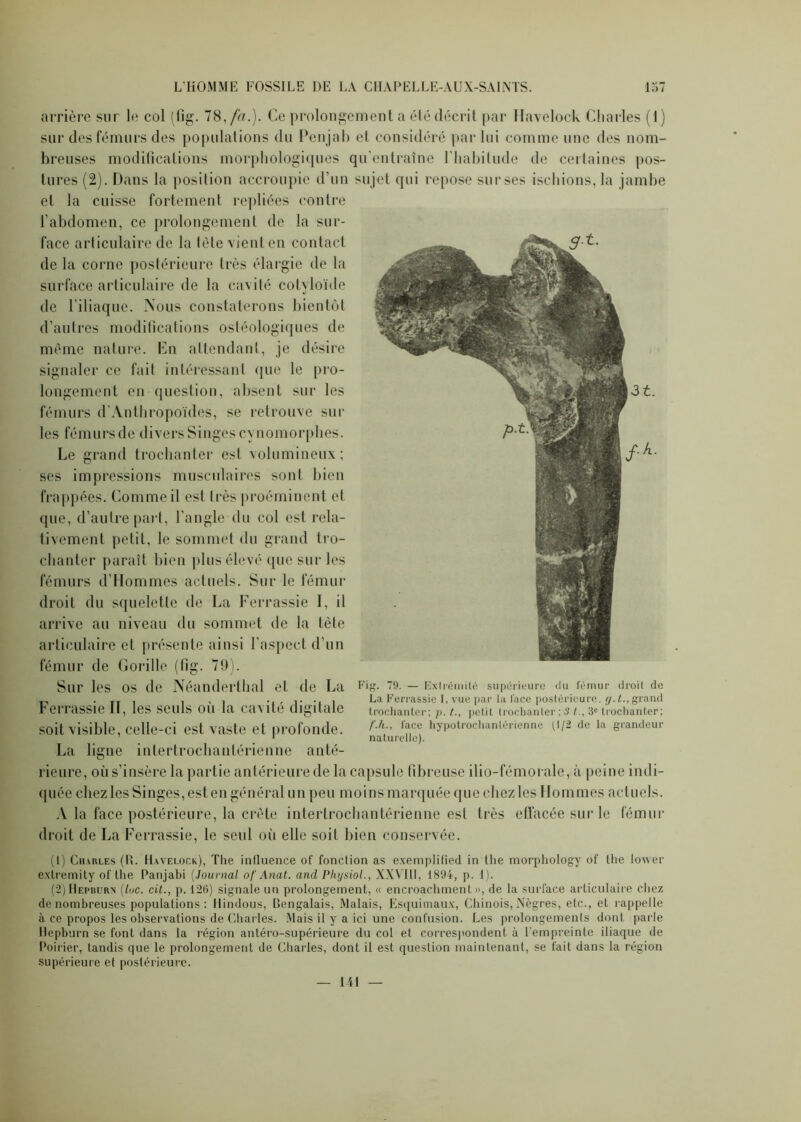 arrière sur le col (fig. 78, fa.). Ce prolongement a été décrit par Havelock Charles (1) sur des fémurs des populations du Penjab et considéré par lui comme une des nom- breuses modifications morphologiques qu’entraîne l'habitude de certaines pos- tures (2). Dans la position accroupie d’un sujet qui repose sur ses ischions, la jambe et la cuisse fortement repliées contre l’abdomen, ce prolongement de la sur- face articulaire de la tète vient en contact de la corne postérieure très élargie de la surface articulaire de la cavité cotyloïde de l’iliaque. Nous constaterons bientôt d’autres modilications osléologiques de même nature. En attendant, je désire signaler ce fait intéressant que le pro- longement en question, absent sur les fémurs d’Anthropoïdes, se retrouve sur les fémursde divers Singes cynomorphes. Le grand trochanter est volumineux; ses impressions musculaires sont bien frappées. Comme il est très proéminent et que, d’autre part, l'angle du col est rela- tivement petit, le sommet du grand tro- chanter paraît bien plus élevé (pic sur les fémurs d’Hommes actuels. Sur le fémur droit du squelette de La Ferrassie I, il arrive au niveau du sommet de la tète articulaire et présente ainsi l’aspect d’un fémur de Gorille (fig. 79). Sur les os de Néanderthal et de La Ferrassie II, les seuls oii la cavité digitale soit visible, celle-ci est vaste et profonde. La ligne intertrochantérienne anté- rieure, où s’insère la partie antérieure de la capsule fibreuse ilio-fémorale, à peine indi- quée chez les Singes, est en général un peu moins marquée que chez les Hommes actuels. A la face postérieure, la crête intertrochantérienne est très effacée sur le fémur droit de La Ferrassie, le seul où elle soit bien conservée. (1) Charles (R. Havelock), The influence of fonction as exemplified in the morphology of llie lower extremity of the Panjabi (Journal of Anat. and Physiol., XXYTll, 1894, p. 1). (2) Hepburn (lue. cit., p. 126) signale un prolongement, « encroachment », de la surface articulaire chez de nombreuses populations : Hindous, Bengalais, Malais, Esquimaux, Chinois, Nègres, etc., et rappelle à ce propos les observations de Charles. Mais il y a ici une confusion. Les prolongements dont parle Hepburn se font dans la région antéro-supérieure du col et correspondent à l’empreinte iliaque de Poirier, tandis que le prolongement de Charles, dont il est question maintenant, se fait dans la région supérieure et postérieure. Fig. 79. — Extrémité supérieure du fémur droit de La Ferrassie I, vue par la face postérieure, g.t., grand trochanter; p. petit trochanter ; 3 t., 3e trochanter; f.h., lace hypotrochanlérienne p/2 de la grandeur naturelle).