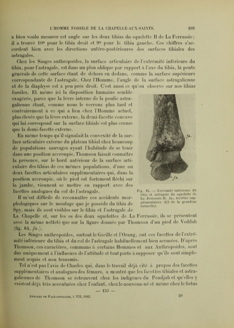 a bien voulu mesurer cet angle sur les deux tibias du squelette 11 de La Ferrassie; il a trouvé 10° pour le tibia droit et 9° pour le tibia gauche. Ces chiffres s’ac- cordent bien avec les directions antéro-postérieures des surfaces tibiales des astragales. Chez les Singes anthropoïdes, la surface articulaire de l’extrémité inférieure du tibia, pour l'astragale, est dans un plan oblique par rapport à l’axe du tibia, la pente générale de cette surface étant de dehors en dedans, comme la surface supérieure correspondante de l’astragale. Chez l’Homme, l’angle de la surface astragalienne et de la diaphyse est à peu près droit. C’est aussi ce qu’on observe sur nos tibias fossiles. Et même ici la disposition humaine semble exagérée, parce que la lèvre interne de la poulie astra- galienne étant, comme nous le verrons plus tard et contrairement à ce qui a lieu chez l’Homme actuel, plus élevée que la lèvre externe, la demi-facette concave qui lui correspond sur la surface tibiale est plus creuse que la demi-facette externe. En même temps qu’il signalait la convexité de la sur- face articulaire externe du plateau tibial chez beaucoup de populations sauvages ayant l’habitude de se tenir dans une position accroupie, Thomson faisait connaître la présence, sur le bord antérieur de la surface arti- culaire des tibias de ces. mêmes populations, d’une ou deux facettes articulaires supplémentaires qui, dans la position accroupie, où le pied est fortement fléchi sur la jambe, viennent se mettre en rapport avec des facettes analogues du col de l'astragale. F‘g 8L — Extrémité inférieure au T1 i • pr» • i i I . , , tibia et astragale du squelette de 11 m est dit licite de reconnaître ces accidents mor- La Ferrassie n. fa., facettes sup- phologiques sur le moulage que je possède du tibia de [i,° de la grandeui Spy, mais ils sont visibles sur le tibia et l’astragale de La Chapelle et, sur les os des deux squelettes de La Ferrassie, ils se présentent avec la même netteté que sur la figure donnée par Thomson d’un pied de Yeddah (fïg. 84, fa.). Les Singes anthropoïdes, surtout le Gorille et l’Orâng, ont ces facettes de l’extré- mité inférieure du tibia et du col de l’astragale habituellement bien accusées. D’après Thomson, ces caractères, communs à certains Hommes et aux Anthropoïdes, sont dus uniquement à l’influence de l’attitude et tout porte à supposer qu’ils sont simple- ment acquis et non transmis. Tel n’est pas l’avis de Charles qui, dans le travail déjà cité à propos des facettes supplémentaires et analogues des fémurs, a montré que les facettes tibiales et astra- galiennes de Thomson se retrouvent chez les indigènes du Pendjab et qu’elles y existentdéjà très accentuées chez l’enfant, chez le nouveau-né et même chez le fœtus — 153 — Annales de Paléontologie, t. VII, 1912. 20