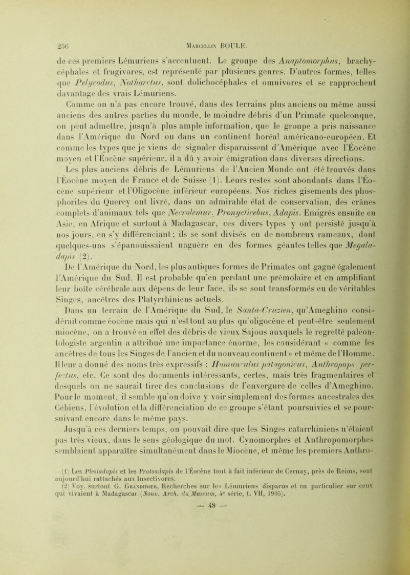 de ces premiers Lémuriens s'accentuent. Le groupe des Anaptomorphus, brachy- céphales et frugivores, est représenté par plusieurs genres. D’autres formes, telles que Pelt/codus, Nolharclus, sont dolichocéphales et omnivores et se rapprochent davantage des vrais Lémuriens. Comme on n’a pas encore trouvé, dans des terrains plus anciens ou même aussi anciens des autres parties du monde, le moindre débris d’un Primate quelconque, on peut admettre, jusqu’à plus ample information, que le groupe a pris naissance dans l’Amérique du Nord ou dans un continent boréal américano-européen. Et comme les types que je viens de signaler disparaissent d’Amérique avec l’Eocène moyen et l’Éocène supérieur, il a dû y avoir émigration dans diverses directions. Les plus anciens débris de Lémuriens de l’Ancien Monde ont été trouvés dans l’Éocène moyen de France et de Suisse (1). Leurs restes sont abondants dans l’Eo- cène supérieur et l’Oligocène inférieur européens. Nos riches gisements des plios- phorites du Quercy ont livré, dans un admirable état de conservation, des crânes complets d’animaux tels que Necrolemur. Pronyctïcebus, Adapis. Emigrés ensuite en Asie, en Afrique et surtout à Madagascar, ces divers types y ont persisté jusqu'à nos jours, en s’y différenciant; ils se sont divisés en de nombreux rameaux, dont quelques-uns s’épanouissaient naguère en des formes géantes telles que Megnla- dapis (2). De l’Amérique du Nord, les plus antiques formes de Primates ont gagné également l’Amérique du Sud. Il est probable qu’en perdant une prémolaire et en amplifiant leur boite cérébrale aux dépens de leur face, ils se sont transformés en de véritables Singes, ancêtres des Platyrrhiniens actuels. Dans un terrain de l’Amérique du Sud, le Santa-Cruzien, qu’Ameghino consi- dérait comme éocène mais qui n’esttout au plus qu'oligocène et peut-être seulement miocène, on a trouvé en effet des débris de vieux Sajous auxquels le regretté paléon- tologiste argentin a attribué une importance énorme, les considérant « comme les ancêtres de tous les Singes de l’ancien et du nouveau continent» et même de l’Homme. Il leur a donné des noms très expressifs : Honiun'idus patayonieus, Anthropops prr- fertus, etc. Ce sont des documents intéressants, certes, mais très fragmentaires et desquels on ne saurait tirer des conclusions de l’envergure de celles d’Amegbino. Pour le moment, il semble qu’on doive y voir simplement des formes ancestrales des Cébiens, l’évolution etla différenciation de ce groupe s’étant poursuivies et se pour- suivant encore dans le même pays. Jusqu’à ces derniers temps, on pouvait dire que les Singes catarrhiniens n’étaient pas très vieux, dans le sens géologique du mot. Cynomorphes et Anthropomorphes semblaient apparaître simultanément dans le Miocène, et même les premiers Anthro- (1) Los Plcsiadupis et les Protoadapis de l’Éocène tout à fait inférieur de Cernay, près de Reims, sont aujourd’hui rattachés aux Insectivores. (2) Voy. surtout G. Gilwdidier, Becherches sur les Lémuriens disparus et en particulier sur ceux qui vivaient à Madagascar (Nouv. Arch. du Muscuin, 4e série, t. Vit, 1905).