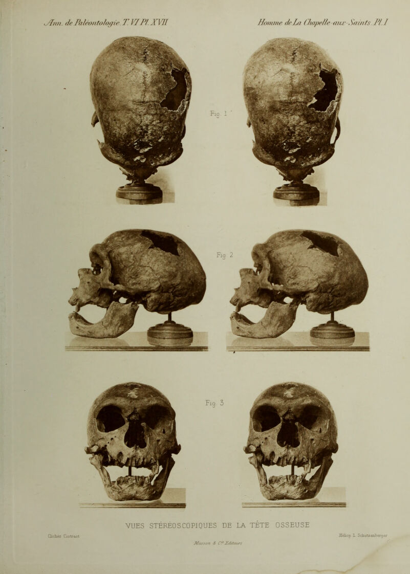 ,JLm. de Paléontologie T. VI P/ XVII Homme delà Chape/le a ne > Saints. PL I VUES STEREOSCOPIQUES DE LA TÊTE OSSEUSE Clichés Cintract Hélioo 1 Schutzenberger Masson â Cf /Editeurs