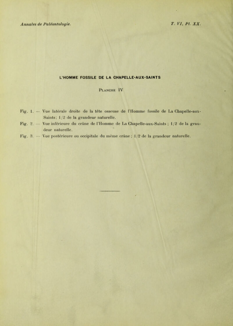 L’HOMME FOSSILE DE LA CHAPELLE-AUX-SAINTS Planche IV Fig-, 1. Fig. 2. Fig. 3. Vue latérale droite de la tête osseuse de l’Homme fossile de La Chapelle-aux- Saints; 1/2 de la g-randeur naturelle. Vue inférieure du crâne de l’Homme de La Chapelle-aux-Saints ; 1/2 de la gran- deur naturelle. Vue postérieure ou occipitale du même crâne ; 1/2 de la grandeur naturelle.