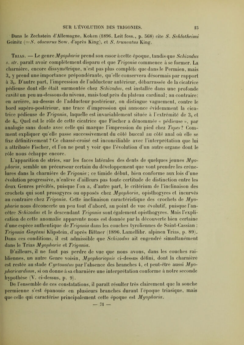 Dans le Zechstein d’Allemagne, Koken (1896. Leit foss., p. 568) cite S. Schlotheimi Geinilz {—S. obscurus Sow. d’après King), et S. truncatus King. Trias. — Le genre il/yo/jAom prend son essor à cette époque, tandis que Sc/iizodus X. str. paraît avoir complètement disparu et que T'/v'^onia commence à se former. La charnière, encore dissymétrique, n’est pas plus complète que dans le Permien, mais 3a y prend une importance prépondérante, qu’elle conservera désormais par rapport à 3*. D’autre part, l’impression de l’adducteur antérieur, débarrassée de la cicatrice pédieuse dont elle était surmontée chez Scliizodus, est installée dans une profonde cavité un peu au-dessous du niveau, mais tout près du plateau cardinal; au contraire: en arrière, au-dessus de l’adducteur postérieur, on distingue vaguement, contre le bord supéro-postérieur, une trace d’impression qui annonce évidemment la cica- trice pédieuse de Trïgonia, laquelle est invariablement située à l’extrémité de 3* et de 4*. Quel est le rôle de cette cicatrice que Fischer a dénommée « pédieuse », par analogie sans doute avec celle qui marque l’impression du pied chez Tapex‘1 Com- ment expliquer qu’elle passe successivement du côté buccal au côté anal oi'i elle se fixe définitivement ? Ce chassé-croisé est inconciliable avec l’interprétation que lui a attribuée fischer, et l’on ne peut y voir que l’évolution d’un autre organe dont le rôle nous échappe encore. L’apparition de stries, sur les faces latérales des dents de quelques jeunes ^J^/o- phoria^ semble un précurseur certain du développement que vont prendre les créne- lures dans la charnière de Trigonia ; ce timide début, bien conforme aux lois d’une évolution progressive, n’enlève d’ailleurs pas toute certitude de distinction entre les deux Genres précités, puisque l’on a, d’autre part, le critérium de l’inclinaison des crochets qui sont prosogyres ou opposés chez Myophoria, opisthogyres et incurvés au contraire chez Trlgonia. Cette inclinaison caractéristique des crochets de Myo- phoria nous déconcerte un peu tout d’abord, au point de vue évolutif, puisque l’an- cètre Srhizodux et le descendant sont également opisthogyres. Mais l’expli- cation de cette anomalie apparente nous est donnée parla découverte bien certaine d’une espèce authentique AeTrigoma dans les couches tyroliennes de Saint-Cassian : Tngnma Gaytani Klipstein, d'après Bittner (1890. Lamellibr. alpinen Trias, p. 89). Dans ces conditions, il est admissible que Sch'izodus ait engendré simultanément dans le Trias Myophona et Trigonia. D’ailleurs, il ne faut pas perdre de vue que nous avons, dans les couches rai- bliennes, un autre Genre voisin, Myophoriopsis ci-dessus défini, dont la charnière est restée au stade Cyrtonoius par l’absence des branches 4, et peut-être aussi Myo- phonrardiiuti^ si on donne à sa charnière une interprétation conforme à notre seconde hypothèse (W ci-dessus, p. 9). De l’ensemble de ces constatations, il paraît résulter très clairement que la souche permienne s’est épanouie en plusieurs branches durant l’époque triasique, mais que celle qui caractérise principalement cette époque est Myophoria, — 71 —