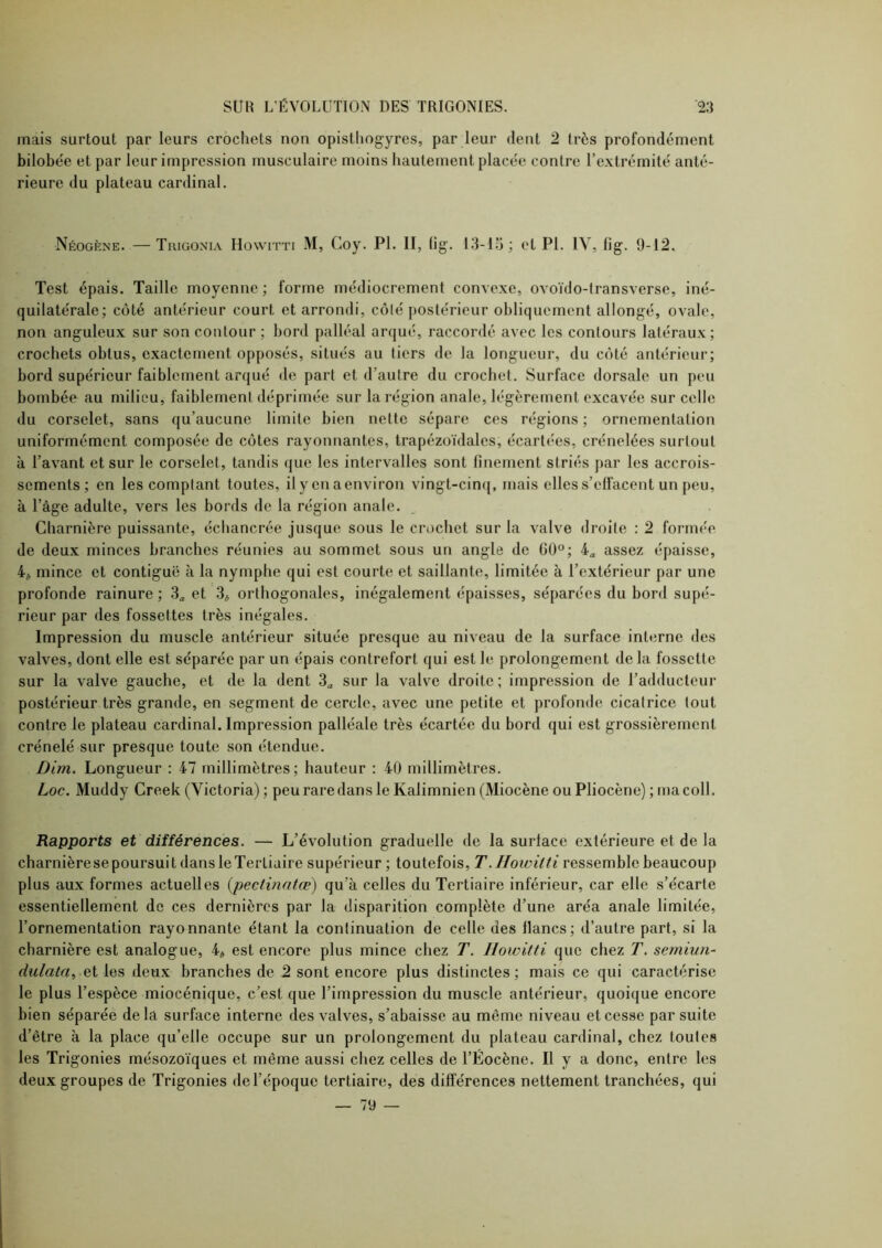 mais surtout par leurs crochets non opislliogyres, par leur dent 2 très profondément bilobée et par leur impression musculaire moins hautement placée contre l’extrémité anté- rieure du plateau cardinal. Néogène. — Tuigoni.v Howitti M, Coy. PI. II, (ig. 13-15; et Pi. IV, lig. 9-12. Test épais. Taille moyenne ; forme médiocrement convexe, ovoïdo-transverse, iné- quilatérale; côté antérieur court et arrondi, côté postérieur obliquement allongé, ovale, non anguleux sur son contour ; bord palléal arqué, raccordé avec les contours latéraux; crochets obtus, exactement opposés, situés au tiers de la longueur, du côté antérieur; bord supérieur faiblement arqué de part et d’autre du crochet. Surface dorsale un peu bombée au milieu, faiblement déprimée sur la région anale, légèrement excavée sur celle du corselet, sans qu’aucune limite bien nette sépare ces régions ; ornementation uniformément composée de côtes rayonnantes, trapézoïdales, écartées, crénelées surtout à l’avant et sur le corselet, tandis (jue les intervalles sont finement striés par les accrois- sements; en les comptant toutes, il y en aenviron vingt-cim|, mais elles s’effacent un peu, à l’âge adulte, vers les bords de la région anale. Charnière puissante, écliancrée jusque sous le crochet sur la valve droite : 2 formée de deux minces branches réunies au sommet sous un angle de GÜ°; 4^ assez épaisse, 4* mince et contiguë à la nymphe qui est courte et saillante, limitée à l’extérieur par une profonde rainure ; et 3* orthogonales, inégalement épaisses, séparées du bord supé- rieur par des fossettes très inégales. Impression du muscle antérieur située presque au niveau de la surface interne des valves, dont elle est séparée par un épais contrefort qui est le prolongement delà fossette sur la valve gauche, et de la dent 3^ sur la valve droite; impression de l’adducteur postérieur très grande, en segment de cercle, avec une petite et profonde cicatrice tout contre le plateau cardinal. Impression palléale très écartée du bord qui est grossièrement crénelé sur presque toute son étendue. Dim. Longueur : 47 millimètres; hauteur : 40 millimètres. Loc. Muddy Creek (Victoria); peu raredans le Kalimnien (Miocène ou Pliocène) ; ma coll. Rapports et différences. — L’évolution graduelle de la surface extérieure et de la charnière se poursuit dans le Tertiaire supérieur ; toutefois, T.l/oivilti ressemble beaucoup plus aux formes actuelles (pecfinafœ) qu’à celles du Tertiaire inférieur, car elle s’écarte essentiellement de ces dernières par la disparition complète d’une aréa anale limitée, l’ornementation rayonnante étant la continuation de celle des flancs; d’autre part, si la charnière est analogue, 4* est encore plus mince chez T. Howitti que chez T. semiun- diilata, et les deux branches de 2 sont encore plus distinctes ; mais ce qui caractérise le plus l’espèce miocénique, c’est que l’impression du muscle antérieur, quoique encore bien séparée de la surface interne des valves, s’abaisse au même niveau et cesse par suite d’être à la place qu’elle occupe sur un prolongement du plateau cardinal, chez toutes les Trigonies mésozoïques et même aussi chez celles de l’Éocène. Il y a donc, entre les deux groupes de Trigonies de l’époque tertiaire, des différences nettement tranchées, qui — 79 —