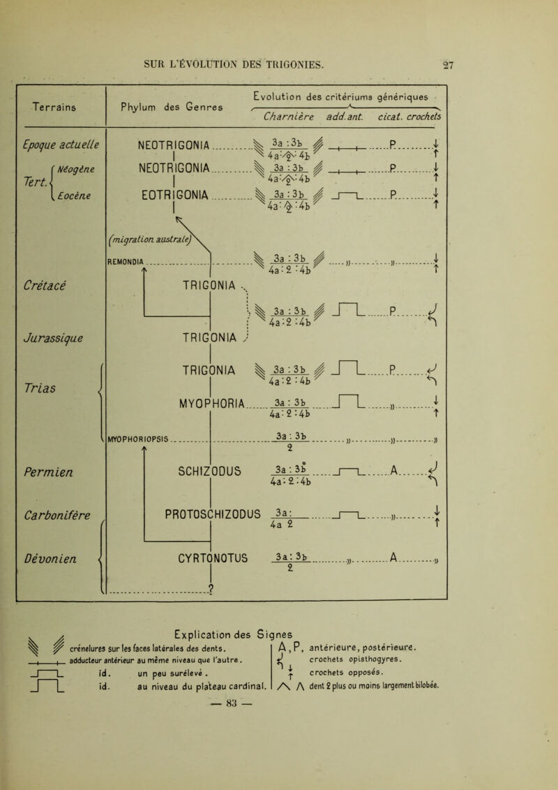 J Explication des Signes J L Y crénelures sur les faces latérales des dents, adducteur antérieur au même niveau que l'autre. id. un peu surélevé . L id. au niveau du plateau cardinal. — 83 — A, P, antérieure, postérieure. J crochets oplsthoqyres. D i / crochets opposes. /\ A dent 2 plus ou moins largement bilobée.