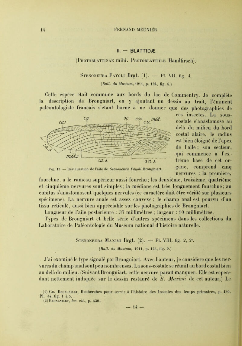 II. - BLATTIDÆ (Protoblattinae milii. Protoblattidæ Handlirsch). ça). méd. Stenoneura Fayoli Brgt. (1). — PI. VII, fîg-. 4. [Bull, du Muséum, 1911, p. 124, fîg. 8.) Cette espèce était commune aux bords du lac de Commenlry. Je complète la description de Brongniart, en y ajoutant un dessin au trait, l’éminent paléontologiste français s’étant borné à ne donner que des photographies de ces insectes. La sous- costale s’anastomose au delà du milieu du bord costal alaire, le radius est bien éloigné de l’apex de l’aile ; son secteur, qui commence à l’ex- trême base de cet or- gane, comprend cinq nervures : la première, fourchue, a le rameau supérieur aussi fourchu; les deuxième, troisième, quatrième et cinquième nervures sont simples; la médiane est très longuement fourchue; au cubitus s’anastomosent quelques nervules (ce caractère doit être vérifié sur plusieurs spécimens). La nervure anale est assez convexe ; le champ anal est pourvu d’un tissu réticulé, aussi bien appréciable sur les photographies de Brongniart. Longueur de l’aile postérieure : 37 millimètres; largeur : 10 millimètres.- Types de Brongniart et belle série d’autres spécimens dans les collections du Laboratoire de Paléontologie du Muséum national d’histoire naturelle. mécLô CIL.O. CLTl.ô. Fig. 13. — Restauration de l’aile de Stenoneura Fayoli Brongniart. Stenoneura Maximi Brgt. (2). — PI. VIII, fîg\ 2, 2\ (Bull, du Muséum, 19H, p. 125, lig. 9.) J’ai examiné le type signalé par Brongniart. Avec l'auteur, je considère que les lier' vitres du champ anal sont peu nombreuses. La sous-costale se réunit au bord costal bien au delà du milieu. (Suivant Brongniart, cette nervure paraît manquer. Elle est cepen- dant nettement indiquée sur le dessin restauré de S. Maximi de cet auteur.) Le (1) Ch. Brongniart, Recherches pour servir à l’histoire des Insectes des temps primaires, p. 430. PI. 34, lig. 1 à 5. (2) Brongniart, loc. cit., p. 430. — 14 —