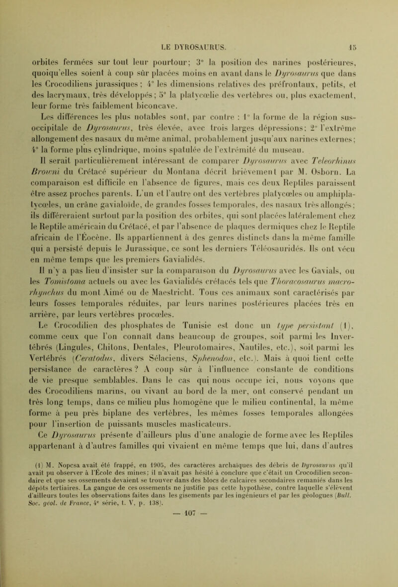 orbites fermées sur tout leur pourtour; 3° la position des narines postérieures, quoiqu’elles soient à coup sur placées moins en avant dans le Dyrosaurus que dans les Crocodiliens jurassiques ; 4° les dimensions relatives des préfrontaux, petits, et des lacrymaux, très développés; 5° la platycœlie des vertèbres ou, plus exactement, leur forme très faiblement biconcave. Les différences les plus notables sont, par contre : 1° la forme de la région sus- occipitale de Dyrosaurus, très élevée, avec trois larges dépressions; 2° l’extrême allongement des nasaux du même animal, probablement jusqu’aux narines externes; 4° la forme plus cylindrique, moins spatulée de l’extrémité du museau. Il serait particulièrement intéressant de comparer Dyrosaurus avec Teleorhinus Brownï du Crétacé supérieur du Montana décrit brièvement par M. Osborn. La comparaison est difficile en l’absence de figures, mais ces deux Reptiles paraissent être assez proches parents. L’un et l’autre ont des vertèbres platycœles ou amphipla- tycœles, un crâne gavialoïde, de grandes fosses temporales, des nasaux très allongés ; ils différeraient surtout parla position des orbites, qui sont placées latéralement chez le Reptile américain du Crétacé, et par l’absence de plaques dermiques chez le Reptile africain de l’Eocène. Ils appartiennent à des genres distincts dans la même famille qui a persisté depuis le Jurassique, ce sont les derniers Téléosauridés. Ils ont vécu en même temps que les premiers Gavialidés. Il n’y a pas lieu d’insister sur la comparaison du Dyrosaurus avec les Gavials, ou les Tomistoma actuels ou avec les Gavialidés crétacés tels que Thoracosaurus macro- rhynchus du mont Aimé ou de Maestricht. Tous ces animaux sont caractérisés par leurs fosses temporales réduites, par leurs narines postérieures placées très en arrière, par leurs vertèbres procœles. Le Croeodilien des phosphates de Tunisie est donc un type persistant (t), comme ceux que l’on connaît dans beaucoup de groupes, soit parmi les Inver- tébrés (Lingules, Chiions, Dentales, Pleurotomaires, Nautiles, etc.), soit parmi les Vertébrés (Ceratodas, divers Sélaciens, Sphenodon, etc.). Mais à quoi lienl cette persistance de caractères ? A coup sûr à l'influence constante de conditions de vie presque semblables. Dans le cas qui nous occupe ici, nous voyons (pie des Crocodiliens marins, ou vivant au bord de la mer, ont conservé pendant un très long temps, dans ce milieu plus homogène que le milieu continental, la même forme à peu près biplane des vertèbres, les mêmes fosses temporales allongées pour l’insertion de puissants muscles masticateurs. Ce Dyrosaurus présente d’ailleurs plus d’une analogie de forme avec les Reptiles appartenant à d’autres familles qui vivaient en même temps que lui, dans d’autres (J) M. Nopcsa avait été frappé, en 1905, des caractères archaïques des débris de Dyrosaurus qu’il avait pu observer à l’École des mines; il n’avait pas hésité à conclure que c’était un Croeodilien secon- daire et que ses ossements devaient se trouver dans des blocs de calcaires secondaires remaniés dans les dépôts tertiaires. La gangue de ces ossements ne justifie pas cette hypothèse, contre laquelle s’élèvent d’ailleurs toutes les observations faites dans les gisements par les ingénieurs et par les géologues (Bull. Soc. géol. de France, 4e série, t. V, p. 138). — 107