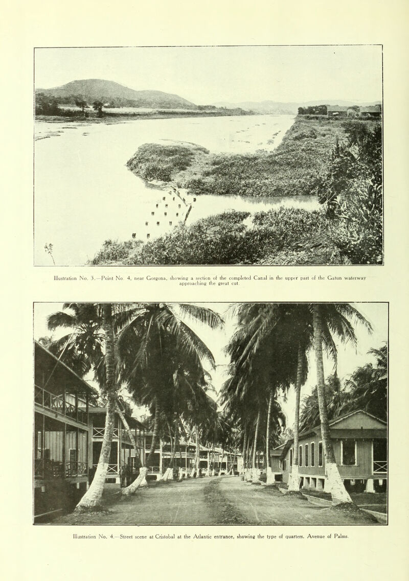 approaching the great cut Illustration No. 4.—Street scene at Cristobal at the Atlantic entrance, showing the type of quarters. Avenue of Palms.