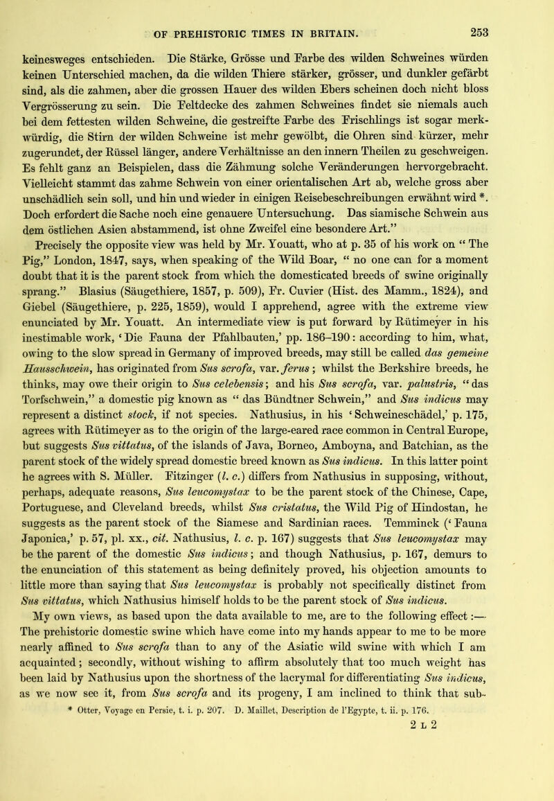keinesweges entschieden. Die Starke, Grosse und Darke des wilden Schweines wiirden keinen Unterschied machen, da die wilden Thiere starker, grosser, und dunkler gefarbt sind, als die zahmen, aber die grossen Hauer des wilden Ebers scbeinen docb nicbt bloss Vergrosserung zu sein. Die Eeltdecke des zahmen Schweines flndet sie niemals auch bei dem fettesten wilden Scbweine, die gestreifte Earbe des Eriscblings ist sogar merk- wiirdig, die Stirn der wilden Scbweine ist mehr gewolbt, die Obren sind kiirzer, mebr zugerundet, der Kiissel langer, andere Verbaltnisse an deninnern Tbeilen zu gescbweigen. Es feblt ganz an Beispielen, dass die Zabmung solcbe Veranderungen bervorgebracbt. Vielleicbt stammt das zabme Scbwein von einer orientaliscben Art ab, welcbe gross aber unscbadlicb sein soil, und binund wieder in einigen B/eisebescbreibungen erwabnt wird *. Docb erfordert die Sacbe nocb eine genauere Untersucbung. Das siamiscbe Scbwein aus dem ostlicben Asien abstammend, ist obne Zweifel eine besondere Art.” Precisely the opposite view was held by Mr. Youatt, who at p. 35 of bis work on “ Tbe Pig,” London, 1847, says, when speaking of tbe Wild Boar, “ no one can for a moment doubt that it is tbe parent stock from wbicb tbe domesticated breeds of swine originally sprang.” Blasius (Saugetbiere, 1857, p. 509), Er. Cuvier (Hist, des Mamm., 1824), and Giebel (Saugetbiere, p. 225, 1859), would I apprehend, agree with tbe extreme view enunciated by Mr. Youatt. An intermediate view is put forward by Biitimeyer in bis inestimable work, ‘ Die Eauna der Pfablbauten,’ pp. 186-190: according to him, what, owing to tbe slow spread in Germany of improved breeds, may still be called das gemeine Hausschwein, has originated from/S'ws scrofa, Nscc.ferus; whilst tbe Berkshire breeds, be thinks, may owe their origin to Sus celebensis; and bis Sus scrofa, var. palustris^ “ das Torfscbwein,” a domestic pig known as “ das Biindtner Scbwein,” and Sus indicus may represent a distinct stock, if not species. Natbusius, in bis ‘ Scbweinescbadel,’ p. 175, agrees with Biitimeyer as to the origin of the large-eared race common in Central Europe, but suggests Sus mttatus, of tbe islands of Java, Borneo, Amboyna, and Batcbian, as tbe parent stock of tbe widely spread domestic breed known as Sus indicus. In this latter point he agrees with S. Muller. Eitzinger {l.c.) differs from Natbusius in supposing, without, perhaps, adequate reasons, Sus leucomystax to be tbe parent stock of tbe Chinese, Cape, Portuguese, and Cleveland breeds, whilst Sus cristatus, tbe Wild Pig of Hindostan, be suggests as tbe parent stock of tbe Siamese and Sardinian races. Temminck (‘ Eauna Japonica,’ p. 57, pb xx., cit. Natbusius, 1. c. p. 167) suggests that Sus leucomystax may be tbe parent of tbe domestic Sus indicus; and though Natbusius, p. 167, demurs to the enunciation of this statement as being definitely proved, his objection amounts to little more than saying that Sus leucomystax is probably not specifically distinct from Sus mttatus, wbicb Natbusius himself bolds to be tbe parent stock of Sus indicus. My own views, as based upon tbe data available to me, are to tbe following effect:— Tbe prehistoric domestic swine which have come into my bands appear to me to be more nearly affined to Sus scrofa than to any of the Asiatic wild swine with wbicb I am acquainted; secondly, without wishing to affirm absolutely that too much weight has been laid by Natbusius upon the shortness of tbe lacrymal for differentiating Sus indicus, as we now see it, from Sus scrofa and its progeny, I am inclined to think that sub- * Otter, Voyage en Persie, t. i. p. 207. D. Maillet, Description de PEgypte, t. ii. p. 176. 2 L 2