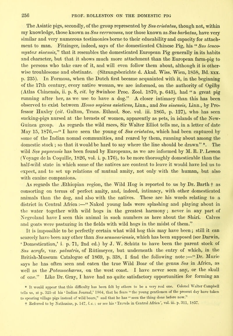 The Asiatic pigs, secondly, of the group represented by Sus cristatus, though not, within my knowledge, those known as Sus verrucosus, nor those known as Sus barbatus, have very similar and very numerous testimonies borne to their educabUity and capacity for attach- ment to man. Pitzinger, indeed, says of the domesticated Chinese Pig, his “ Sus leuco- mystax sinensis,^' that it resembles the domesticated European Pig generally in its habits and character, but that it shows much more attachment than the European farm-pig to the persons who take care of it, and will even follow them about, although it is other- wise troublesome and obstinate. (Sitzungsberichte d. Akad. Wiss. Wien, 1858, Bd. xxx. p. 235). In Formosa, when the Dutch first became acquainted with it, in the beginning of the 17th century, every native woman, we are informed, on the authority of Ogilby (Atlas Chinensis, ii. p. 8, cit. by Swinhoe Proc. Zool. 1870, p. 643), had “ a great pig running after her, as we use to have a dog.” A closer intimacy than this has been observed to exist between Homo sapiens asiaticus, Linn., and Sus sinensis, Linn., by Pro- fessor Huxley {cit. Galton, Trans. Ethnol. Soc. vol. iii. 1865, p. 127), who has seen sucking-pigs nursed at the breasts of women, apparently as pets, in islands of the New- Guinea group. As regards the wild races. Sir Walter Elliot tells me, in a letter of date May 15, 1876,—“ I have seen the young of Sus cristatus, which had been captured by some of the Indian nomad communities, and reared by them, running about among the domestic stock ; so that it would be hard to say where the line should be drawn” *. The wild Stis papuensis has been found by Europeans, as we are informed by M. B. P. Lesson (Voyage de la Coquille, 1826, vol. i. p. 176), to be more thoroughly domesticable than the half-wild state in which some of the natives are content to leave it would have led us to expect, and to set up relations of mutual amity, not only with the human, but also with canine companions. As regards the ^Ethiopian region, the Wild Hog is reported to us by Dr. Barth f as consorting on terms of perfect amity, and, indeed, intimacy, with other domesticated animals than the dog, and also with the natives. These are his words relating to a district in Central Africa:—“ Naked young lads were splashing and playing about in the water together with wild hogs in the greatest harmony; never in any part of Ne2:roland have I seen this animal in such numbers as here about the Shari. Calves and goats were pasturing in the fields with wild hogs in the midst of them.” It is impossible to be perfectly certain what wild hog this may have been; still it can scarcely have been any other than Sus sennaariensis, which has been supposed (see Darwin, ‘ Domestication,’ i, p. 71, 2nd ed.) by J. W. Schiitz to have been the parent stock of Sus scrofa, var. palustris, of Biitimeyer, but underneath the entry of which, in the British-Museum Catalogue of 1869, p. 338, I find the following note:—“ Dr. Murie says he has often seen and eaten the true Wild Boar of the genus Sus in Africa, as well as the Potamochoerus, on the west coast. I have never seen any, or the skull of one.” Like Dr. Gray, I have had no quite satisfactory opportunities for forming an * It would appear that this difficulty has been felt by others to be a very real one. Colonel Walter Campbell tells us, at p. 325 ol his ‘ Indian Journal,’ 1864, that he fears “the young gentlemen of the present day have taken to spearing village pigs instead of wild boars,” and that he has “ seen the thing done before now. ’ t Referred to by Nathusius, p. 147, 1. c. ; or see his ‘ Travels in Central Africa ’, vol. iii. p. 311, 1857.
