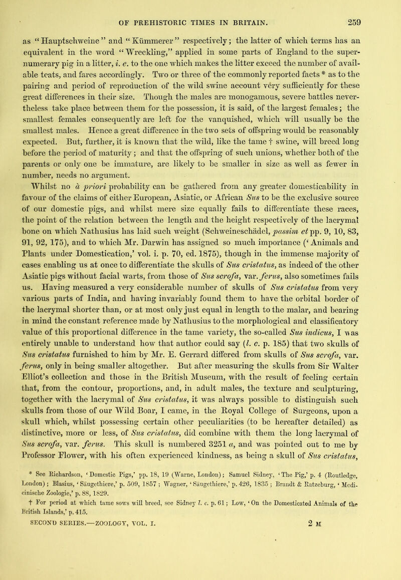 as “ Hauptscliweine ” and “ Kummerei* ” respectively; the latter of which terms has an equivalent in the word “ Wreckling,” applied in some parts of England to the super- numerary pig in a litter, i. e. to the one which makes the litter exceed the number of avail- able teats, and fares accordingly. Two or three of the commonly reported facts * as to the pairing and period of reproduction of the wild swine account very sufficiently for these great differences in their size. Though the males are monogamous, severe battles never- theless take place between them for the possession, it is said, of the largest females; the smallest females consequently are left for the vanquished, which will usually be the smallest males. Hence a great difference in the two sets of offspring would be reasonably expected. But, further, it is known that the wild, like the tame t swine, will breed long before the period of maturity; and that the offspring of such unions, whether both of the parents or only one be immature, are likely to be smaller in size as well as fewer in number, needs no argument. Whilst no a priori probability can be gathered from any greater domesticability in favour of the claims of either European, Asiatic, or African Sus to be the exclusive source of our domestic pigs, and whilst mere size equally fails to differentiate these races, the point of the relation between the length and the height respectively of the lacrymal bone on which Nathusius has laid such Aveight (Schweineschadel, etpp. 9, 10, 83, 91, 92, 175), and to Avhich Mr. Darwin has assigned so much importance (‘Animals and Plants under Domestication,’ vol. i. p. 70, ed. 1875), though in the immense majority of cases enabling us at once to differentiate the skulls of Sus cristatus, as indeed of the other Asiatic pigs without facial warts, from those of Sus scrofa, var. ferus, also sometimes fails us. Having measured a very considerable number of skulls of Sus cristatus from very various parts of India, and having invariably found them to have the orbital border of the lacrymal shorter than, or at most only just equal in length to the malar, and bearing in mind the constant reference made by Nathusius to the morphological and classificatory value of this proportional difference in the tame variety, the so-called Sus indicus, I aa as entirely unable to understand how that author could say {1. c. p. 185) that two skulls of Sus cristatus furnished to him by Mr. E. Gerrard differed from skulls of Sus scrofa, var. ferus, only in being smaller altogether. But after measuring the skulls from Sir Walter Elliot’s collection and those in the British Museum, with the result of feeling certain that, from the contour, proportions, and, in adult males, the texture and sculpturing, together with the lacrymal of Sus cristatus, it Avas always possible to distinguish such skulls from those of our Wild Boar, I came, in the Royal College of Surgeons, upon a skull which, whilst possessing certain other peculiarities (to be hereafter detailed) as distinctive, more or less, of Sus cristatus, did combine with them the long lacrymal of Sus scrofa, var. ferus. This skull is numbered 3251 a, and was pointed out to me by Professor Elower, with his often experienced kindness, as being a skull of Sus cristatus, * See lliehardson, ‘ Domestic Pigs,’ pp. 18, 19 (Warne, London); Samuel Sidney, ‘ The Pig,’ p. 4 (Eoutledge, London) ; Blasius, ‘ Siiugcthiere,’ p. 509, 1857 ; Wagner, ‘ Siiugethiere,’ p. 426, 1835 ; Brandt & Ratzeburg, ‘ Mcdi- cinische Zoologie,’ p. 88, 1829. t For period at -which tame sows will breed, see Sidney I. c. p. 61; Low, ‘ On the Domesticated Animals of the British Islands,’ p. 415. SECOND SEMES.—ZOOLOGY, VOL. I. 2 M
