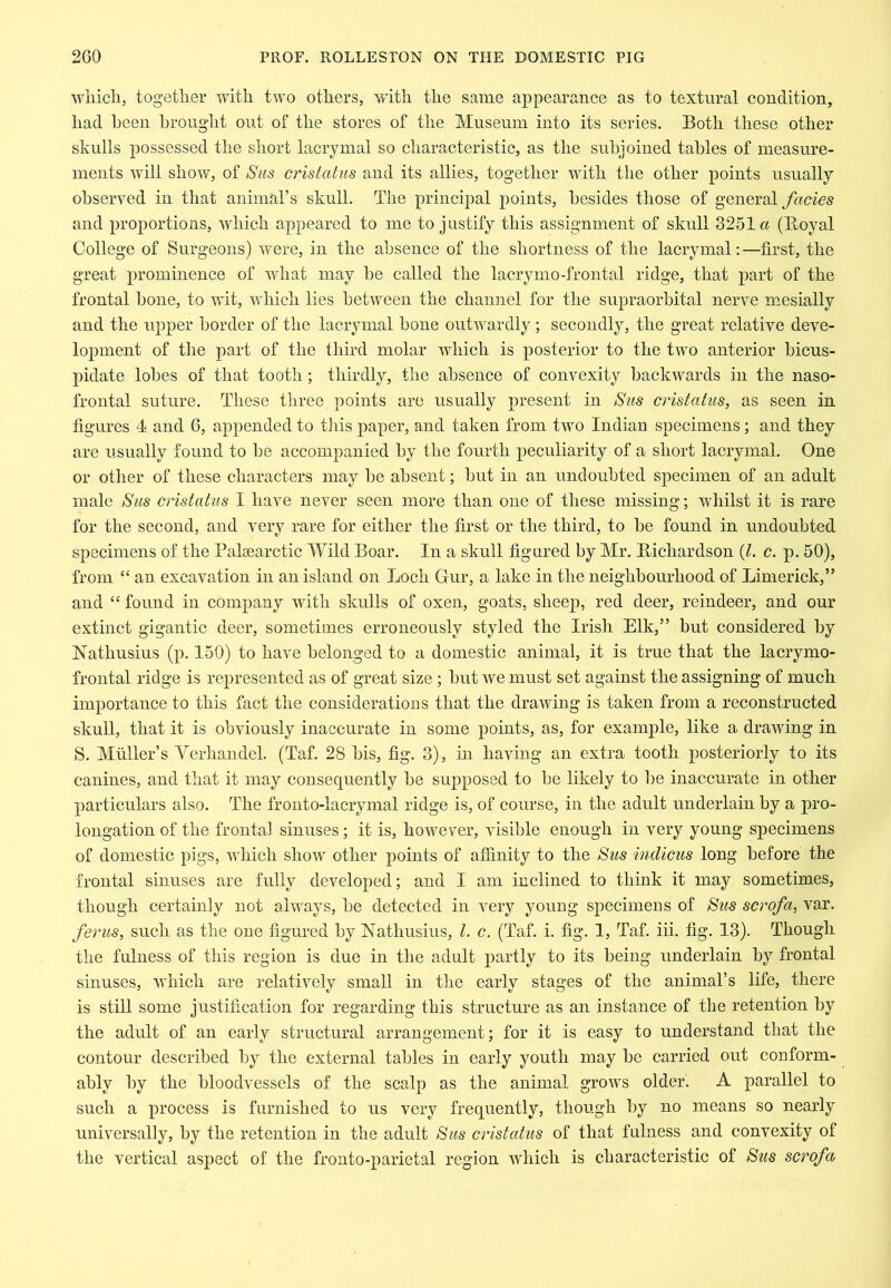 wliicli, togetlier with two others, with the same appearance as to textural condition, had been brought out of the stores of the Museum into its series. Both these other skulls possessed the short lacrymal so characteristic, as the subjoined tables of measure- ments will show, of Sus cristatus and its allies, together with the other points usually observed in that animal’s skull. The principal points, besides those of genevsl facies and proj)ortions, which appeared to me to justify this assignment of skull 3251« (Boyal College of Surgeons) were, in the absence of the shortness of the lacrymal:—first, the great prominence of what may be called the lacrymo-frontal ridge, that part of the frontal bone, to wit, which lies between the channel for the supraorbital nerve mesially and the upper border of the lacrymal bone outwardly; secondly, the great relative deve- lopment of the part of the third molar which is posterior to the two anterior bicus- pidate lobes of that tooth; thirdly, the absence of convexity backwards in the naso- frontal suture. These three points are usually present in Sits cristatus, as seen in figures 4 and 6, appended to tins paper, and taken from two Indian specimens; and they are usually found to be accompanied by the fourth peculiarity of a short lacrymal. One or other of these characters may be absent; but in an undoubted specimen of an adult male Sus cristatus I have never seen more than one of these missing; whilst it is rare for the second, and very rare for either the first or the third, to be found in undoubted specimens of the Palsearctic Wild Boar. In a skull figured by Mr. Bichardson {1. c. p. 50), from “ an excavation in an island on Loch Gur, a lake in the neighbourhood of Limerick,” and “ found in company with skulls of oxen, goats, sheep, red deer, reindeer, and our extinct gigantic deer, sometimes erroneously styled the Irish Elk,” but considered by Nathusius (p. 150) to have belonged to a domestic animal, it is true that the lacrymo- frontal ridge is represented as of great size; but we must set against the assigning of much importance to this fact the considerations that the drawing is taken from a reconstructed skull, that it is obviously inaccurate in some points, as, for example, like a drawing in S. Muller’s Verhandel. (Taf. 28 bis, fig. 3), in having an extra tooth posteriorly to its canines, and that it may consequently be supposed to be likely to be inaccurate in other particulars also. The fronto-lacrymal ridge is, of course, in the adult underlain by a pro- longation of the frontal sinuses; it is, however, visible enough in very young specimens of domestic pigs, which show otlier points of affinity to the Sus indicus long before the frontal sinuses are fully developed; and I am inclined to think it may sometimes, though certainly not always, be detected in very young specimens of Sus scrofa, var. ferns, such as the one figured by Nathusius, 1. c. (Taf. i. fig. 1, Taf. iii. fig. 13). Though the fulness of this region is due in the adult partly to its being underlain by frontal sinuses, which are relatively small in the early stages of the animal’s life, there is still some justification for regarding this structure as an instance of the retention by the adult of an early structural arrangement; for it is easy to understand that the contour described by the external tables in early youth may be carried out conform- ably by the bloodvessels of the scalp as the animal grows older. A parallel to such a process is furnished to us very frequently, though ])y no means so nearly universally, by the retention in the adult Sus cristatus of that fulness and convexity of the vertical aspect of the fronto-parietal region wliich is characteristic of Stis scrofa