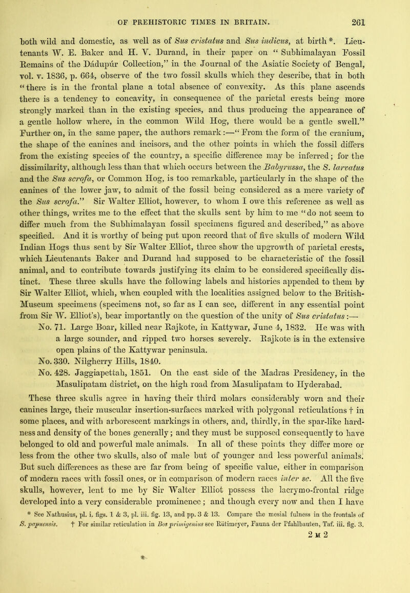 loth wild and domestic, as well as of Sus crlstatus and ^us indicus, at birth *. Lieu- tenants W. E. Baker and H. V. Eurand, in their paper on “ Subhimalayan Eossil Bemains of the Eadupiir Collection,” in the Journal of the Asiatic Society of Bengal, vol. V. 1836, p. 661, observe of the two fossil skulls wdiich they describe, that in both “there is in the frontal plane a total absence of convexity. As this plane ascends there is a tendency to concavity, in consequence of the parietal crests being more strongly marked than in the existing species, and thus producing the appearance of a gentle hollow wEere, in the common Wild Hog, there would be a gentle swell.” Eurther on, in the same paper, the authors remark:—“Erom the form of the cranium, the shape of the canines and incisors, and the other points in which the fossil differs from the existing species of the country, a specific difference may be inferred; for the dissimilarity, although less than that which occurs between the Babyrussa, the /S. larmtus and the Bus scrofa, or Common Hog, is too remarkable, particularly in the shape of the canines of the lower jaw, to admit of the fossil being considered as a mere variety of the Bus scrofaB Sir Walter Elliot, however, to whom I owe this reference as well as other things, writes me to the effect that the skulls sent by him to me “ do not seem to differ much from the Subhimalayan fossil specimens figured and described,” as above specified. And it is worthy of being put upon record that of five skulls of modern Wild Indian Hogs thus sent by Sir Walter EUiot, three show the upgrowth of parietal crests, which Lieutenants Baker and Durand had supposed to be characteristic of the fossil animal, and to contribute towards justifying its claim to be considered specifically dis- tinct. These three skulls have the following labels and histories appended to them by Sir Walter Elliot, which, when coupled with the localities assigned below to the British- Museum specimens (specimens not, so far as I can see, different in any essential point from Sir W. Elliot’s), bear importantly on the question of the unity of Bus cristatus :— No. 71. Large Boar, killed near Bajkote, in Batty war, June 4, 1832. He was with a large sounder, and ripped two horses severely. Bajkote is in the extensive open plains of the Kattywar peninsula. No. 330. Nilgherry Hills, 1840. No. 428. Jaggiapettah, 1851. On the east side of the Madras Presidency, in the Masulipatam district, on the high road from Masulipatam to Hyderabad. These three skulls agree in having their third molars considerably worn and their canines large, their muscular insertion-surfaces marked with polygonal reticulations f in some places, and with arborescent markings in others, and, thirdly, in the spar-like hard- ness and density of the bones generally; and they must be supposed consequently to have belonged to old and powerful male animals. In all of these points they differ more or less from the other two skulls, also of male but of younger and less powerful animals. But such differences as these are far from being of specific value, either in comparison of modern races with fossil ones, or in comparison of modern races inter se. All the five skulls, however, lent to me by Sir Walter Elliot possess the lacrymo-frontal ridge developed into a very considerable prominence ; and though every now and then I have * See Nathusius, pi. i. figs. 1 ik 3, pi. iii. fig. 13, and pp. 3 & 13. Compare the mesial fulness in the frontals of S. ]papuemis. t For similar reticulation in Bos primigenius see Eiitimcyer, Fauna der Pfahlbauten, Taf. iii. fig. 3. 2 M 2