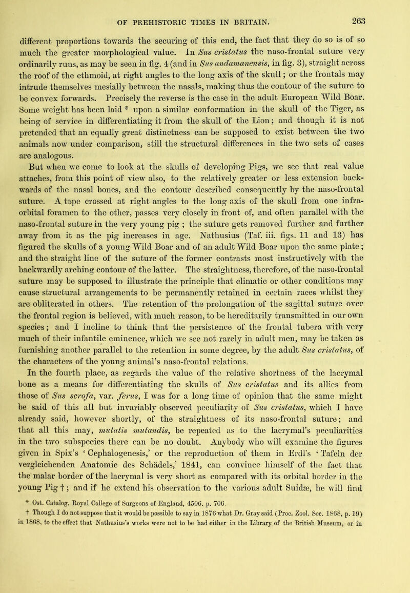 different proportions towards the securing of this end, the fact that they do so is of so much the greater morphological value. In Sus cristatiis the naso-frontal suture very ordinarily runs, as may he seen in fig. 4 (and in Sus andamanensis, in fig. 3), straight across the roof of the ethmoid, at right angles to the long axis of the skull; or the frontals may intrude themselves mesially between the nasals, making thus the contour of the suture to be convex forwards. Precisely the reverse is the case in the adult European Wild Boar. Some weight has been laid * upon a similar conformation in the skull of the Tiger, as being of service in differentiating it from the skull of the Lion; and though it is not pretended that an equally great distinctness can be supposed to exist between the two animals now under comparison, still the structural differences in the two sets of cases are analogous. But when we come to look at the skulls of developing Pigs, we see that real value attaches, from this point of view also, to the relatively greater or less extension back- wards of the nasal bones, and the contour described consequently by the naso-frontal suture. A tape crossed at right angles to the long axis of the skull from one infra- orbital foramen to the other, passes very closely in front of, and often parallel with the naso-frontal suture in the very young pig ; the suture gets removed further and further away from it as the pig increases in age. Nathusius (Taf. iii. figs. 11 and 13) has figured the skulls of a young Wild Boar and of an adult Wild Boar upon the same plate; and the straight line of the suture of the former contrasts most instructively with the backwardly arching contour of the latter. The straightness, therefore, of the naso-frontal suture may be supposed to illustrate the principle that climatic or other conditions may cause structural arrangements to be permanently retained in certain races whilst they are obliterated in others. The retention of the prolongation of the sagittal suture over the frontal region is believed, with much reason, to be hereditarily transmitted in our own species; and I incline to think that the persistence of the frontal tubera with very much of their infantile eminence, which we see not rarely in adult men, may be taken as furnishing another parallel to the retention in some degree, by the adult Sus cristatiis, of the characters of the young animal’s naso-frontal relations. In the fourth place, as regards the value of the relative shortness of the lacrymal bone as a means for differentiating the skulls of Sus cristatus and its allies from those of Sus scrofa, var. ferus, I was for a long time of opinion that the same might be said of this all but invariably observed peculiarity of Sus cristatus, which I have already said, however shortly, of the straightness of its naso-frontal suture; and that all this may, mutatis mutandis, be repeated as to the lacrymal’s peculiarities in the two subspecies there can be no doubt. Anybody who will examine the figures given in Spix’s ‘ Cephalogenesis,’ or the reproduction of them in Erdl’s ‘ Tafeln der vergleichenden Anatomie des Schadels,’ 1841, can convince himself of the fact that the malar border of the lacrymal is very short as compared with its orbital border in the young Pig f; and if he extend his observation to the various adult Suidae, he will find * Ost. Catalog. Royal College of Surgeons of England, 4506. p. 706. t Though I do not suppose that it would be possible to say in 1876 what Dr. Gray said (Proc. Zool. Soc. 1868, p. 19) in 1868, to the effect that Nathusius’s works were not to be had either in the Library of the British Museum, or in