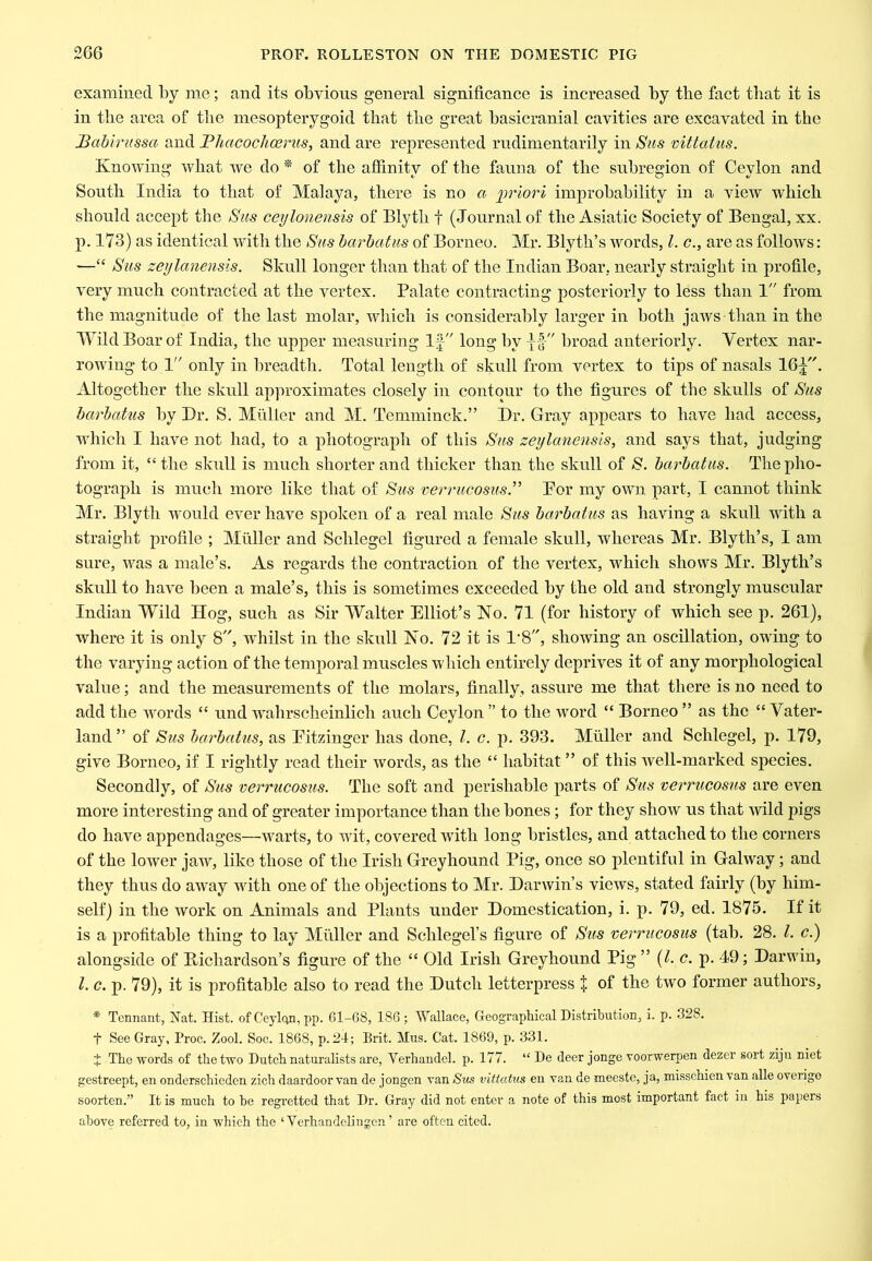 examined l)y me; and its obvious general significance is increased by tbe fact that it is in the area of the mesopterygoid that the great basicranial cavities are excavated in the Bahirussa and Bh,acochcerus, and are represented rndimentarily in Sus mttatus. Knowing what we do * of the affinity of the fauna of the subregion of Ceylon and South India to that of Malaya, there is no a iiriori improbability in a view which should accept the Sus ceylonensis of Blyth f (Journal of the Asiatic Society of Bengal, xx. p. 173) as identical with the Sus barbatus of Borneo. Mr. Blyth’s words, 1. c., are as follows: —“ Sus zeylanensis. Skull longer than that of the Indian Boar, nearly straight in profile, very much contracted at the vertex. Palate contracting posteriorly to less than 1 from the magnitude of the last molar, which is considerably larger in both jaws than in the Wild Boar of India, the upper measuring If long by broad anteriorly. Vertex nar- rowing to 1 only in breadth. Total length of skull from vertex to tips of nasals 16f. Altogether the skull approximates closely in contour to the figures of the skulls of Sus barbatus by Br. S. Muller and M. Temminck.” Dr. Gray appears to have had access, which I have not had, to a photograph of this Sus zeylanensis, and says that, judging from it, “ the skull is much shorter and thicker than the skull of /S. barbatus. The pho- tograph is much more like that of Sus verrucosus.^' Por my own part, I cannot think Mr. Blyth would ever have spoken of a real male Sus barbatus as having a skull with a straight profile ; Muller and Schlegel figured a female skull, whereas Mr. Blyth’s, I am sure, was a male’s. As regards the contraction of the vertex, which shows Mr. Blyth’s skull to have been a male’s, this is sometimes exceeded by the old and strongly muscular Indian Wild Hog, such as Sir Walter Elliot’s No. 71 (for history of which see p. 261), where it is only 8, wdiilst in the skull No. 72 it is IB, showing an oscillation, owing to the varying action of the temporal muscles which entirely deprives it of any morphological value; and the measurements of the molars, finally, assure me that there is no need to add the words “ und wnhrscheinlich aueh Ceylon ” to the word “ Borneo ” as the “ Vater- land ” of Sus barbatus, as Eitzinger has done, 1. c. p. 393. Muller and Schlegel, p. 179, give Borneo, if I rightly read their words, as the “ habitat ” of this well-marked species. Secondly, of Sus verrucosus. The soft and perishable parts of Sus verrucosus are even more interesting and of greater importance than the bones; for they show us that wild pigs do have appendages—warts, to wit, covered with long bristles, and attached to the corners of the lower jaw, like those of the Irish Greyhound Pig, once so plentiful in Galway; and they thus do away with one of the objections to Mr. Darwin’s views, stated fairly (by him- self) in the work on Animals and Plants under Domestication, i. p. 79, ed. 1875. If it is a profitable thing to lay Mfiller and Schlegel’s figure of Sus verrucosus (tab. 28. 1. c.) alongside of Bichardson’s figure of the “ Old Irish Greyhound Pig ” (1. c. p. 49; Darwin, 1. c. p. 79), it is profitable also to read the Duteh letterpress X of former authors, * Tennant, Nat. Hist, of Ceylon, pp. 61-68, 186 ; Wallace, Geographical Distribution, i. p. 328. t See Gray, Proc. Zool. Soc. 1868, p. 24; Brit. Mus. Cat. 1869, p. 331. + The words of the two Dutch naturalists are, Verhandel. p. 177. “ De deer jonge voorwerpen dezer sort zijii niet gestreept, en onderschieden zich daardoor van de jongen van Sus vittatus en van de meeste, ja, misschien van alle overigo soorten.” It is much to he regretted that Dr. Gray did not enter a note of this most important fact in his papers above referred to, in which the ‘ Verhandclingcn ’ are often cited.