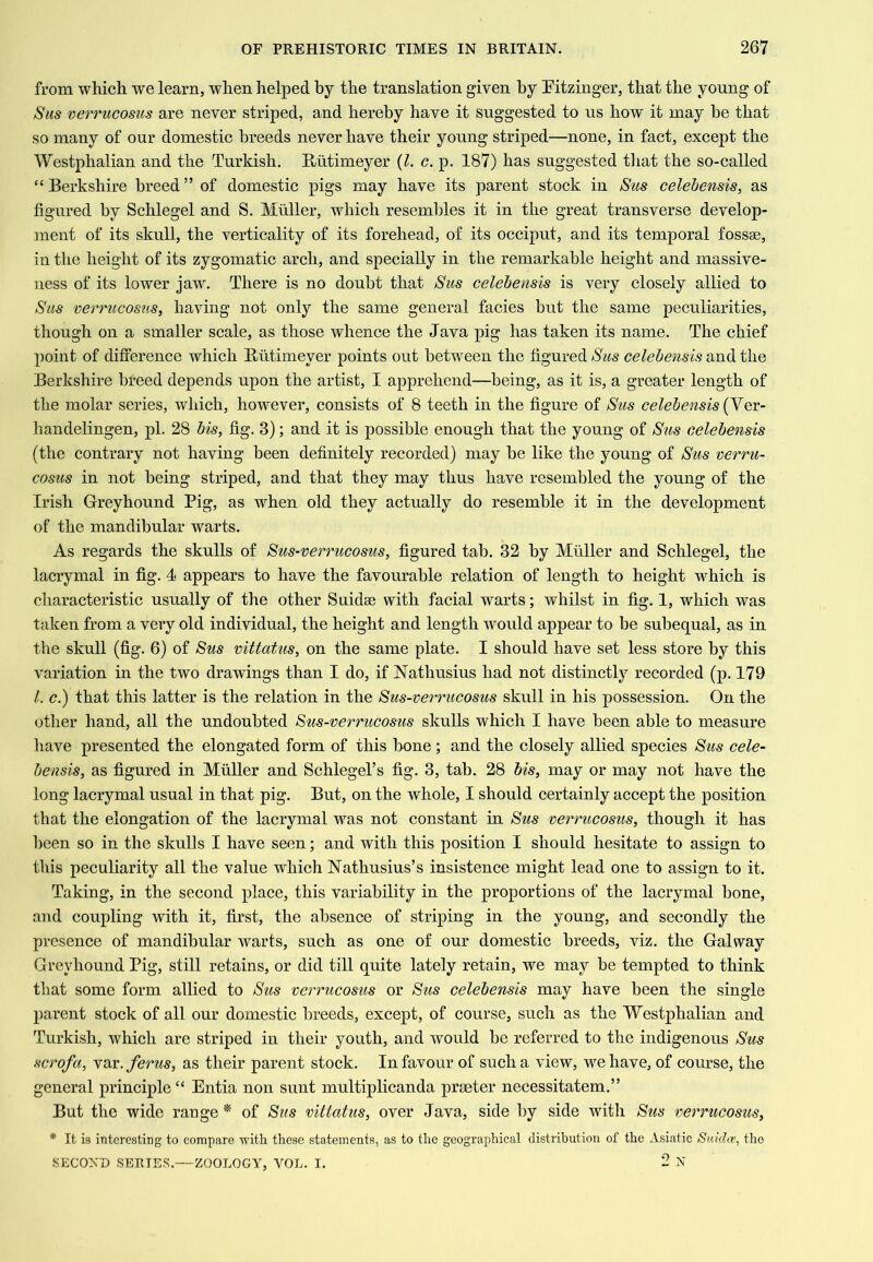 from whicli we learn, when helped by the translation given hy Eitzinger, that the young of Sus verrucosus are never striped, and hereby have it suggested to us how it may he that so many of our domestic breeds never have their young striped—none, in fact, except the Westphalian and the Turkish. E,utimeyer {1. c. p. 187) has suggested that the so-called “ Berkshire breed ” of domestic pigs may have its parent stock in Sus celehensis, as figured hy Schlegel and S. Muller, which resembles it in the great transverse develop- jnent of its skull, the verticality of its forehead, of its occiput, and its temporal fossae, in the height of its zygomatic arch, and specially in the remarkable height and massive- ness of its lower jaw. There is no doubt that Sus celehensis is very closely allied to Sus verrucosus, having not only the same general facies hut the same peculiarities, though on a smaller scale, as those whence the Java pig has taken its name. The chief point of difference which Biitimeyer points out between the figured Sus celehensis and the Berkshire breed depends upon the artist, I apprehend—being, as it is, a greater length of the molar series, which, however, consists of 8 teeth in the figure of Sus celehensis {Yev- handelingen, pi. 28 his, fig. 3); and it is possible enough that the young of Sus celehensis (the contrary not having been definitely recorded) may he like the young of Sus verru- cosus in not being striped, and that they may thus have resembled the young of the Irish Greyhound Pig, as when old they actually do resemble it in the development of the mandibular warts. As regards the skulls of Sus-verrucosus, figured tab. 32 hy Muller and Schlegel, the lacrymal in fig. 4 appears to have the favourable relation of length to height which is characteristic usually of the other Suidae with facial warts; whilst in fig. 1, which was taken from a very old individual, the height and length would appear to be suhequal, as in the skull (fig. 6) of Sus vittatus, on the same plate. I should have set less store by this variation in the two drawings than I do, if Nathusius had not distinctly recorded (p. 179 1. c.) that this latter is the relation in the Sus-verrucosus skull in his possession. On the other hand, all the undoubted Sus-verrucosus skulls which I have been able to measure have presented the elongated form of this hone; and the closely allied species Sus cele- hensis, as figured in Muller and Schlegel’s fig. 3, tab. 28 his, may or may not have the long lacrymal usual in that pig. But, on the whole, I should certainly accept the position that the elongation of the lacrymal was not constant in Sus verrucosus, though it has been so in the skulls I have seen; and with this position I should hesitate to assign to this peculiarity all the value which Nathusius’s insistence might lead one to assign to it. Taking, in the second place, this variability in the proportions of the lacrymal hone, and coupling with it, first, the absence of striping in the young, and secondly the presence of mandibular warts, such as one of our domestic breeds, viz. the Galway Greyhound Pig, still retains, or did till quite lately retain, we may he tempted to think that some form allied to Sus verrucosus or Sus celehensis may have been the single parent stock of all our domestic breeds, except, of course, such as the Westphalian and Turkish, which are striped in their youth, and would he referred to the indigenous Sus scrofa, var. ferus, as their parent stock. In favour of such a view, we have, of course, the general principle “ Entia non sunt multiplicanda praeter necessitatem.” But the wide range * of Sus vittatus, over Java, side hy side with Sus verrucosus, * It is interesting to eompare with these statements, as to the geographical distribution of the Asiatic Saida’, the SECOND SERIES.—ZOOLOGY, VOL. I. 2 N