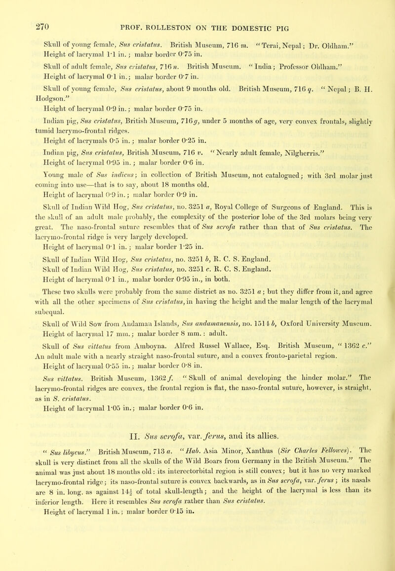 Slaxll of young female^ Sics cristatus. Britisli Museum, 716 to. Terai, Nepal; Dr. Oldham.” Height of lacrymal IT in.; malar border 0’75 in. Skull of adidt female, Sus cristatus, 716??. Britisli Museum. ^Mndia; Professor Oldham.” Height of lacrymal OT in.; malar border 0'7 in. Skull of young female, Sus cristatus, about 9 months old. Britisli Museum, 716 q. “ Nepal; B. H. Hodgson.” Height of lacrymal 0'9 in.; malar border O'75 in. Indian pig, Sus cristatus, British Museum, 7\Qg, under 5 months of age, very convex frontals, slightlv tumid lacrymo-frontal ridges. Height of lacrymals 0'5 in.; malar border 0'25 in. Indian pig, Sus cristatus, British Museum, 716 v. Nearly adult female, Nilgherris.” Height of lacrymal 0'95 in. ; malar border 0'6 in. Young male of Sus inclicus] in collection of British Museum, not catalogued; ivith 3rd molar just coming into use—that is to say, about 18 months old. Height of lacrymal 0'9 in.; malar border 0'9 in. Skull of Indian MTld Hog, Sus cristatus, no. 3.251 a. Royal College of Surgeons of England. This is the skull of an adult male probably, the complexity of the posterior lobe of the 3rd molars being very great. The naso-frontal suture resembles that of Sus scrofa rather than that of Sus cristatus. The lacrymo-frontal ridge is very largely developed. Height of lacrymal O'l in.; malar border 1'25 in. Skull of Indian MTld Hog, Sus cristatus, no. 3251 b, R. C. S. England. Skull of Indian Wild Hog, Sus cristatus, no. 3251 c. R. C. S. England. Height of lacrymal O'l in., malar border 0'95 in., in both. These two skulls were probably from the same distinct as no. 3251 a; but they differ from it, and agree with all the other specimens of Sus cristatus, in having the height and the malar length of the lacrymal subequal. Skull of Wild Sow from Andaman Islands, Sus undamanensis, no. 1514 h, Oxford University Museum. Height of lacrymal 17 mm.; malar border 8 mm.; adult. Skull of Sics vittatus from Amboyna. Alfred Russel Wallace, Esq. British Museum, 1362 c.” An adult male with a nearly straight naso-frontal suture, and a convex fronto-parietal region. Height of lacrymal 0'55 in.; malar border 0'8 in. Sus vittatus. British Museum, 1362/. “Skull of animal developing the hinder molar.” The lacrymo-frontal ridges are convex, the frontal region is flat, the naso-frontal suture, however, is straight, as in S. cristatus. Height of laci'ymal 1'05 in.; malar border 0'6 in. II. Sus scrofa, Ywr.ferus, and its allies. “ Sus libycus.” British Museum, 713 «. Asia Minor, Xanthus [Sir Charles Fdlowes). The skull is very distinct from all the skulls of the Wild Boars from Germany in the British Museum.” The animal was just about 18 months old: its interectorbital region is still convex; but it has no very marked lacrymo-frontal ridge; its naso-frontal suture is convex backwards, as in Sus scrofa, var. ferus ; its nasals are 8 in. long, as against 14| of total skull-length; and the height of the lacrymal is less than its inferior length. Here it resembles Sics scrofa rather than Sus cristatus. Height of lacrymal 1 in.; malar border 0'15 in.