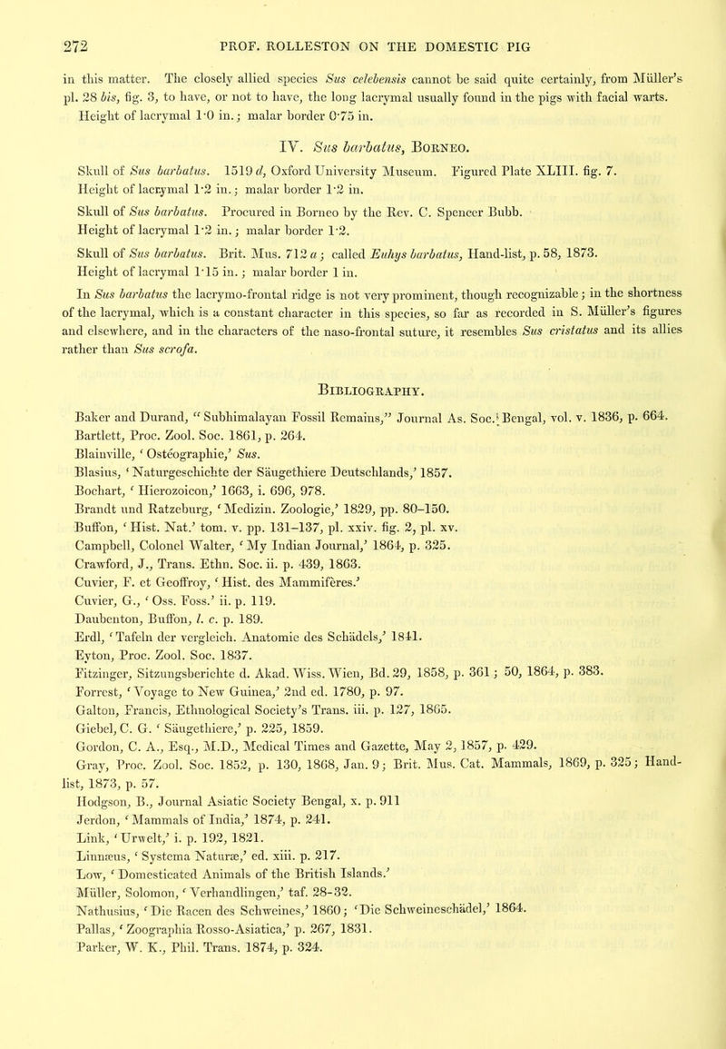 in this matter. The closely allied species Sus celehensis cannot be said quite certairdy^ from Muller’s pi. 28 bis, fig. to have, or not to have, the long lacrymal usually found in the pigs 'with facial warts. Height of lacrymal 1‘0 in.; malar border 0'75 in, IV. S'us harhatus, Borneo. Skull of S'us barbatus. 1519 d, Oxford University Museum. Figured Plate XLIII. fig. 7. Height of lacrymal 1'2 in.; malar boi’der 1'2 in. Skull of Sus barbatus. Procured in Borneo by the Rev, C. Spencer Bubb. Height of lacrymal 1‘2 in.; malar border 1'2. Skull of Sus barbatus. Brit. Mus, 712 a ; called Euhys barbatus, Hand-list, p. 58, 1873. Height of lacrymal U15 in.; malar border 1 in. In Sus barbatus the lacrymo-frontal ridge is not very prominent, though recognizable; in the shortness of the lacrymal, -which is a constant character in this species, so far as recorded in S. Muller’s figures and elsewhere, and in the characters of the naso-frontal suture, it resembles Sus cristatus and its allies rather than Sus scrofa. Bibliography. Baker and Durand, Subhimalayan Fossil Remains,” Journal As. Soc.^ Bengal, vol. v. 1836, p. 664. Bartlett, Proc. Zool. Soc. 1861, p. 264. Blainville, ‘ Osteographie,’ Sus. Blasius, ‘ Naturgeschichte der Saugethiere Deutschlands,’ 1857. Bochart, ^ Hierozoicon,’ 1663, i. 696, 978. Brandt und Ratzeburg, 'Medizin. Zoologie,’ 1829, pp. 80-150. Buffon, ‘ Hist. Nat.’ tom. v. pp. 131-137, pi. xxiv. fig. 2, pi. xv, Campbell, Colonel Walter, ^ My Indian Journal,’ 1864, p. 325. Crawford, J., Trans. Ethn. Soc. ii. p. 439, 1863. Cuvier, F. et Geoffi’oy, ‘ Hist, des Mammiferes.’ Cuvier, G., ‘ Oss. Foss.’ ii. p. 119. Daubenton, Buffon, 1. c. p. 189. Erdl, ^Tafeln der vergleich. Anatomie des Schadels,’ 1841. Eyton, Proc. Zool. Soc. 1837. Fitzinger, Sitzungsberichte d. Akad. Wiss. Wien, Bd. 29, 1858, p. 361; 50, 1864, p. 383. Forrest, 'Voyage to New Guinea,’ 2nd ed. 1780, p. 97. Gallon, Francis, Ethnological Society’s Trans, iii. p. 127, 1865. Giebel, C. G. ' Saugethiere,’ p. 225, 1859. Gordon, C. A., Esq., M.D., Medical Times and Gazette, May 2,1857, p. 429. Gray, Proc. Zool. Soc. 1852, p. 130, 1868, Jan. 9; Brit. Mus. Cat. Mammals, 1869, p. 325; Hand- list, 1873, p. 57. Hodgson, B., Journal Asiatic Society Bengal, x. p. 911 Jerdon, 'Mammals of India,’ 1874, p. 241. Link, 'Urwelt,’ i. p. 192, 1821. Linnaeus, ' Systema Naturae,’ ed. xiii. p. 217. Low, ' Domesticated Animals of the British Islands.’ jMiiller, Solomon,' Verhandlingen,’ taf. 28-32. Nathusius, 'Die Racen des Schweines,’ 1860; 'Die Schweineschadel,’ 1864. Pallas, ' Zoographia Rosso-Asiatica,’ p. 267, 1831. Parker, W. K., Phil. Trans. 1874, p. 324.
