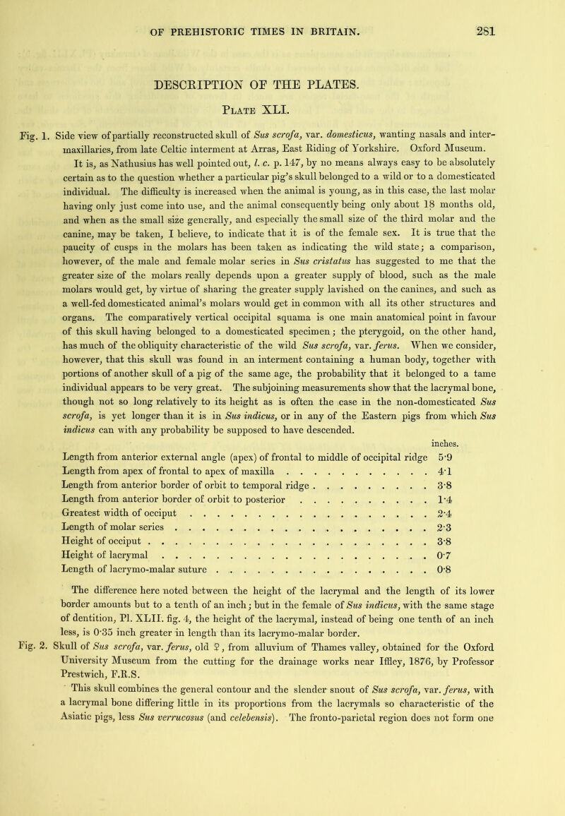 DESCRIPTION OE THE PLATES. Plate XLI. Fig. 1. Side view of partially reconstructed skull of Sus scrofa, var. domesticus, wanting nasals and inter- maxillaries, from late Celtic interment at Arras, East Riding of Yorkshire. Oxford Museum. It is, as Nathusius has well pointed out, 1. c. p. 147, hy no means always easy to be absolutely certain as to the question whether a particular pig’s skull belonged to a wild or to a domesticated individual. The difficulty is increased when the animal is young, as in this case, the last molar having only just come into use, and the animal eonsequently being only about 18 months old, and when as the small size generally, and especially the small size of the third molar and the canine, may be taken, I believe, to indicate that it is of the female sex. It is true that the paucity of cusps in the molars has been taken as indicating the wild state; a comparison, however, of the male and female molar series in Stis cristatus has suggested to me that the greater size of the molars really depends upon a greater supply of blood, such as the male molars would get, by virtue of sharing the greater supply lavished on the canines, and such as a well-fed domesticated animal’s molars would get in common with all its other structures and organs. The comparatively vertical occipital squama is one main anatomical point in favour of this skull having belonged to a domesticated specimen; the pterygoid, on the other hand, has much of the obliquity characteristic of the wild Sus scrofa, var. ferus. When we consider, however, that this skull was found in an interment containing a human body, together with portions of another skull of a pig of the same age, the probability that it belonged to a tame individual appears to be very great. The subjoining measurements show that the lacrymal bone, though not so long relatively to its height as is often the case in the non-domesticated Sus scrofa, is yet longer than it is in Sus indicus, or in any of the Eastern pigs from which Sus indicus can with any probability be supposed to have descended. inches. Length from anterior external angle (apex) of frontal to middle of occipital ridge 5’9 Length from apex of frontal to apex of maxilla 4T Length from anterior border of orbit to temporal ridge 3'8 Length from anterior border of orbit to posterior 1-4 Greatest width of occiput 2'4 Length of molar series 2‘3 Height of occiput 3'8 Height of lacrymal O'7 Length of lacrymo-malar suture 0'8 The difference here noted between the height of the lacrymal and the length of its lower border amounts but to a tenth of an inch; but in the female of Sus indicus, with the same stage of dentition, PL XLII. fig. 4, the height of the lacrymal, instead of being one tenth of an inch less, is 0'35 inch greater in length than its lacrymo-malar border. Fig. 2. Skull of Sus scrofa, 'vsx. ferus, old 5, from alluvium of Thames valley, obtained for the Oxford University Museum from the cutting for the drainage works near Iffley, 1876, by Professor Prestwich, F.R.S. This skull combines the general contour and the slender snout of Sus scrofa, var. ferus, with a lacrymal bone differing little in its proportions from the lacrymals so characteristic of the Asiatic pigs, less Sus verrucosus (and celehensis). The fronto-parietal region does not form one
