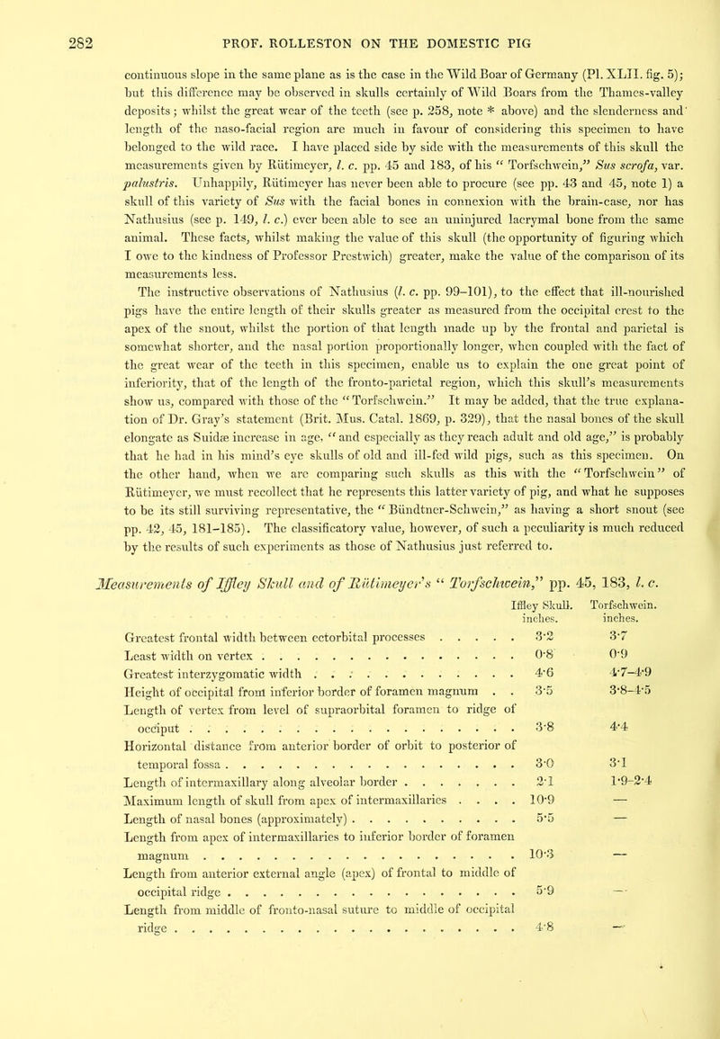 continuous slope in the same plane as is the case in the Wild Boar of Germany (PI. XLTI. fig. 5); hut this difference may be observed in skulls certainly of Wild Boars from the Thames-valley deposits; whilst the great wear of the teeth (see p. 258^ note * above) and the slenderness and' length of the naso-facial region are much in favour of considering this specimen to have belonged to the wild race. I have placed side by side with the measurements of this skull the measurements given by Riitimcyer^ 1. c. pp. 45 and 183, of his “ Torfschwein,^^ Bus scrofa, var. pahistris. Unhappily, Riitimeyer has never been able to procure (see pp. 43 and 45, note 1) a skull of this variety of Bus with the facial bones in connexion with the hrain-case, nor has Nathusius (see p. 149, 1. c.) ever been able to see an uninjured lacrymal bone from the same animal. These facts, Avhilst making the value of this skull (the opportunity of figuring which I owe to the kindness of Professor Prestwich) greater, make the value of the comparison of its measurements less. The instructive observations of Nathusius (/. c. pp. 99-101), to the effect that ill-nonrished pigs have the entire length of their skulls greater as measured from the occipital crest to the apex of the snout, whilst the portion of that length made up by the frontal and parietal is somewhat shorter, and the nasal portion proportionally longer, when coupled with the fact of the great wear of the teeth in this specimen, enable us to explain the one great point of inferiority, that of the length of the fronto-parietal region, which this skulks measurements show us, compared with those of the “ Torfschwein.^’ It may he added, that the true explana- tion of Dr. Gray’s statement (Brit. IMus. Catal. 1869, p. 329), that the nasal bones of the skull elongate as Suidm increase in age, “ and especially as they reach adult and old age,” is probably that he had in his mind’s eye skulls of old and ill-fed wild pigs, such as this specimen. On the other hand, Avhen we arc comparing such skulls as this with the “ Torfschwein ” of Riitimeyer, we must recollect that he represents this latter variety of pig, and what he supposes to be its still surviving representative, the “ Biindtner-Schwein,” as having a short snout (see pp. 42, 45, 181-185). The classificatory value, however, of such a peculiarity is much reduced by the results of such experiments as those of Nathusius just referred to. Measurements of Iffley S/cull and of Hiitlmeyers “ TorfscJitoeinf pp. 45, 183, 1. c. Iffley Skull. Torfschwein. inches. inches. Greatest frontal width between cctorbital processes 3’2 3‘7 Least width on vertex 0'8 0'9 Greatest interzygomatic width ... 4‘6 4’7-4*9 Height of occipital from inferior border of foramen magnum . . 3'5 3*8-4\5 Length of vertex from level of supraorbital foramen to ridge of occiput 3'8 4’4 Horizontal distance from anterior border of orbit to posterior of temporal fossa 3'0 3'1 Length of intermaxillary along alveolar border 2'i l*9-24 Maximum length of skull from apex of intermaxillaries .... 10'9 — Length of nasal bones (approximately) 5‘5 — Length from apex of intermaxillaries to inferior border of foi’amen magnum 10’3 — Length from anterior external angle (apex) of frontal to middle of occipital ridge 5'9 — ■ Length from middle of fronto-nasal suture to middle of occipital ridge 4’8 —■