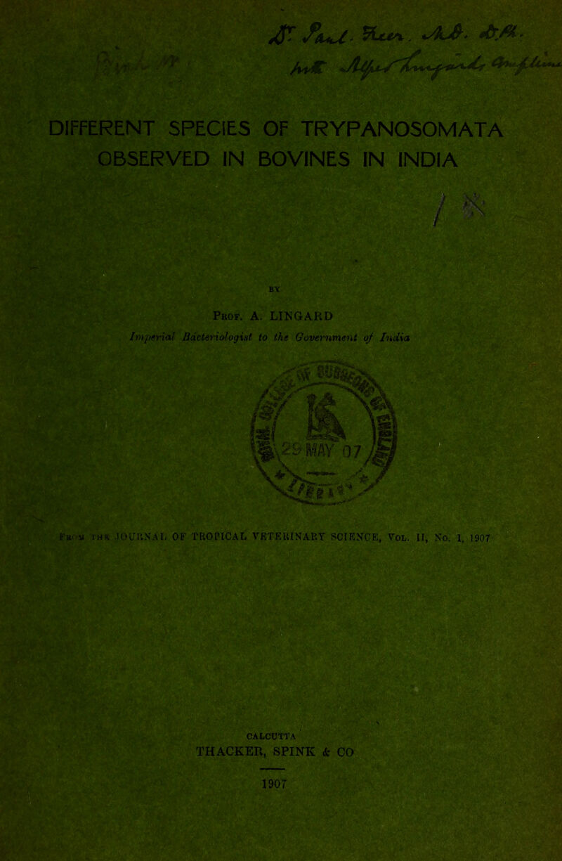 V A't^ DIFFERENT SPECIES OF TRYPANOSOMATA OBSERVED IN BOVINES IN INDIA Pbof. a. LIN gar D Imperial Bacteriologist to the Government of India 1907