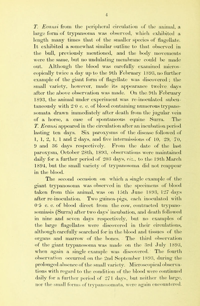 T. Evansi from the peri[)heral circulation of the animal, a large form of trypansoma was observed, which exhibited a length many times that of the smaller species of flagellate. It exhibited a somewhat similar outline to that observed in the bull, previously mentioned, and the body movements were the same, but no undulating membrane could be made out. Although the blood was carefully examined micros- copically twice a day up to the 9th February 1893, no further example of the giant form of flagellate was discovered ; the small variety, however, made its appearance twelve days after the above observation was made. On the 9th February 1893, the animal under experiment was re-inoculated subcu- taneously with 2'0 c. c. of blood containing numerous trypano- somata drawn immediately after death from the jugular vein of a horse, a case of spontaneous equine Surra. The T. Evansi appeared in the circulation after an incubation period lasting ten days. Six paroxysms of the disease followed of 1, 1, 2, 1, 1 and 2 days, and five intermissions of 10, 29, 70, 9 and 36 days respectively. From the date of the last paroxysm, October 28th, 1893, observations were maintained dail}^ for a further period of 203 daj^s, viz., to the 19th March 1894, but the small variety’ of trypanosoma did not reappear in the blood. The second occasion on wliich a single example of the giant trypanosoma was observed in the specimens of blood taken from this animal, was on 15th June 1893, 127 days after re-inoculation. Two guinea-pigs, each inoculated with 0'5 c. c. of blood direct from the cow, contracted trypano- somiasis (Surra) after two days’ incubation, and death followed in nine and seven days respectively, but no examples of the large flagellates were discovered in their circulations, although carefully searched for in the blood and tissues of the organs and marrow of the bones. The third observation of the giant trypanosoma was made on the 3rd July 1893, when again a single example was discovered. The fourth observation occurred on the 2nd Se[)tember 1893, during the prolonged aixsence of the small variety. Microscopical observa- tions with regard to the condition of the V>lood were continued daily for a further period of 271 days, Init neither the large, nor the small forms of tiypanosomata, were again encountered.