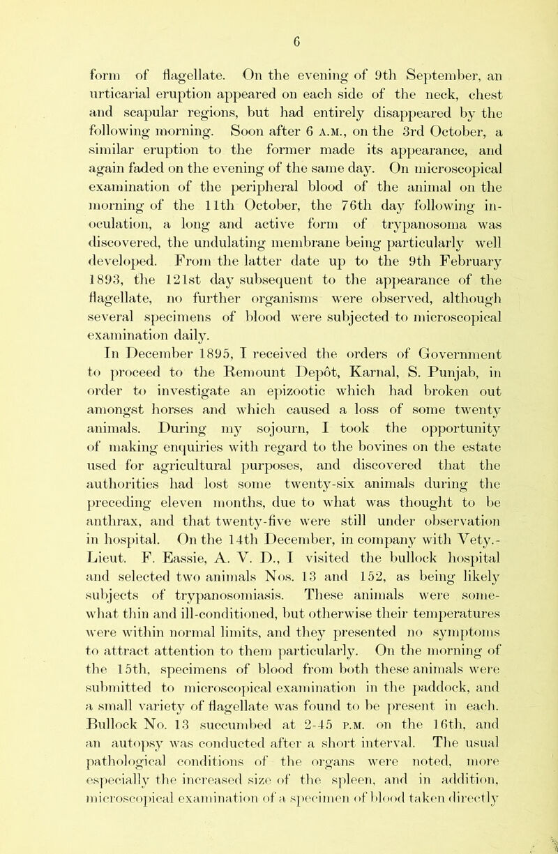 form of flagellate. On the evening of 9th September, an urticarial eruption appeared on each side of the neck, chest and scapular regions, but had entirely disappeared by the following morning. Soon after 6 a.m., on the 3rd October, a similar eruption to the former made its appearance, and again faded on the evening of the same day. On microscopical examination of the peripheral blood of the animal on the morning of the 11th October, the 76th day following in- oculation, a long and active form of trypanosoma was discovered, the undulating membrane being particularly well developed. From the latter date up to the 9th February 1893, the 121st day subsequent to the appearance of the flagellate, no further organisms were observed, although several specimens of blood were subjected to microscopical examination daily. In December 1895, I received the orders of Government to proceed to the Remount Depot, Karnal, S. Punjab, in order to investigate an epizootic which had broken out amongst horses and which caused a loss of some twenty animals. During my sojourn, I took the opportunity of making enquiries with regard to the bovines on the estate used for agricultural purposes, and discovered that the authorities had lost some twenty-six animals during the preceding eleven months, due to what was thought to be anthrax, and that twenty-five were still under observation in hospital. On the 14th December, in company with Vety.- Lieut. F. Eassie, A. V. D., I visited the bullock hospital and selected two animals Nos. 13 and 152, as being likely subjects of trypanosomiasis. These animals were some- what thin and ill-conditioned, but otherwise their temperatures were within normal limits, and they presented no symptoms to attract attention to them particularly. On the morning of the 15th, specimens of blood from both these animals were submitted to microscopical examination in the paddock, and a small variety of flagellate was found to be present in each. Bullock No. 13 succumbed at 2-45 p.m. on the 16th, and an auto})sy was conducted after a short interval. The usual pathological conditions of the organs were noted, more especially the increased size of the sjfleen, and in addition, microscopical examination of a specimen of blood taken directly