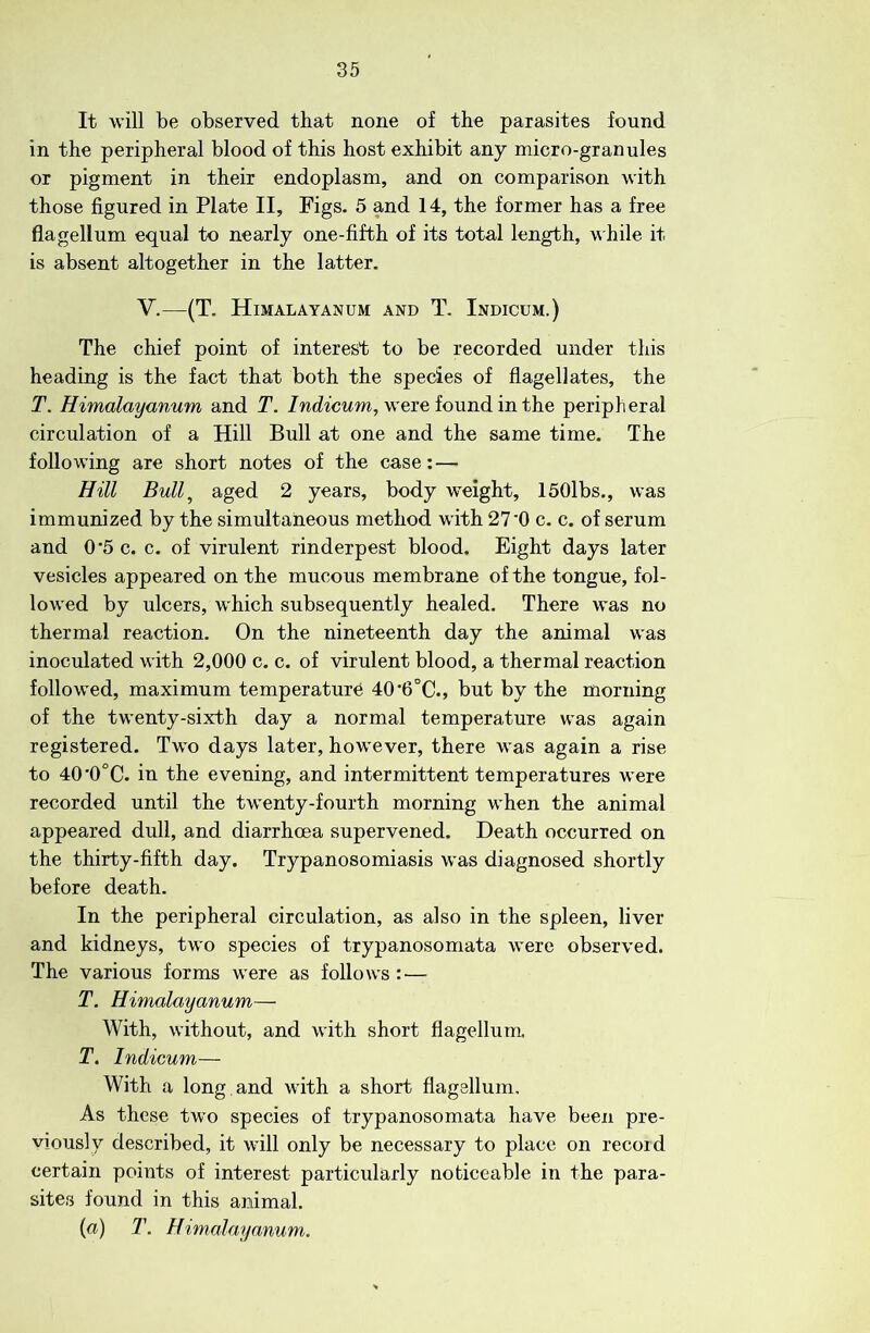 It will be observed that none of the parasites found in the peripheral blood of this host exhibit any micro-granules or pigment in their endoplasm, and on comparison with those figured in Plate II, Figs. 5 and 14, the former has a free flagellum equal to nearly one-fifth of its total length, w hile it is absent altogether in the latter. V.—(T. Himalayanum and T. Indicum.) The chief point of interest to be recorded under this heading is the fact that both the species of flagellates, the T. Himalayanum and T. /wdicwm, were found in the peripheral circulation of a Hill Bull at one and the same time. The following are short notes of the case: — Hill Bull^ aged 2 years, body Aveight, ISOlbs., was immunized by the simultaneous method with 27'0 c. c. of serum and 0*5 c. c. of virulent rinderpest blood. Eight days later vesicles appeared on the mucous membrane of the tongue, fol- low'ed by ulcers, W'hich subsequently healed. There was no thermal reaction. On the nineteenth day the animal was inoculated with 2,000 c. c. of virulent blood, a thermal reaction followed, maximum temperature 40‘6°C., but by the morning of the twenty-sixth day a normal temperature was again registered. Two days later, how^ever, there w’as again a rise to 40'0°C. in the evening, and intermittent temperatures w^ere recorded until the tw’enty-fourth morning w^hen the animal appeared dull, and diarrhoea supervened. Death occurred on the thirty-fifth day. Trypanosomiasis w^as diagnosed shortly before death. In the peripheral circulation, as also in the spleen, liver and kidneys, tw’o species of trypanosomata w’ere observed. The various forms w'ere as follows : — T. Himalayanum— With, without, and with short flagellum. T. Indicum— With a long and with a short flagellum. As these tw^o species of trypanosomata have been pre- viously described, it will only be necessary to place on record certain points of interest particularly noticeable in the para- sites found in this animal. {a) T. Himalayanum.