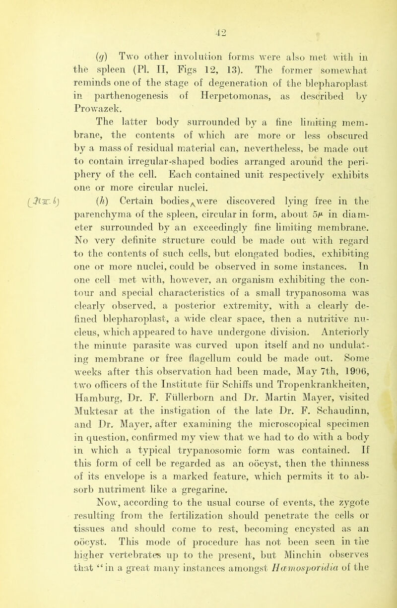 (JlwA) {(/) Two other involution forms were also met with in the spleen (PI. II, Figs 12, 13). The former somewhat reminds one of the stage of degeneration of the blepharoplast in parthenogenesis of Herpetomonas, as described by Prowazek, The latter body surrounded by a fine limiting mem- brane, the contents of which are more or less obscured by a mass of residual material can, nevertheless, be made out to contain irregular-shaped bodies arranged around the peri- phery of the cell. Each contained unit respectively exhibits one or more circular nuclei. (h) Certain bodies^were discovered lying free in the parenchyma of the spleen, circular in form, about 5m in diam- eter surrounded by an exceedingly fine limiting membrane. No very definite structure could be made out with regard to the contents of such cells, but elongated bodies, exhibiting one or more nuclei, could be observed in some instances. In one cell met with, however, an organism exhibiting the con- tour and special characteristics of a small trypanosoma was clearly observed, a posterior extremity, with a clearly de- fined blepharoplast, a wide clear space, then a nutritive nu- cleus, which appeared to have undergone division. Anteriorly the minute parasite was curved upon itself and no undulat- ing membrane or free flagellum could be made out. Some weeks after this observation had been made. May 7th, 1906, two officers of the Institute fiir Schiffs und Tropenkrankheiten, Hamburg, Dr. F. Fiillerborn and Dr. Martin Mayer, visited Muktesar at the instigation of the late Dr. F. Schaudinn, and Dr. Mayer, after examining the microscopical specimen in question, confirmed my view that we had to do with a body m which a typical trypanosomic form was contained. If this form of cell be regarded as an oocyst, then the thinness of its envelope is a marked feature, which permits it to ab- sorb nutriment like a gregarine. Now, according to the usual course of events, the zygote resulting from the fertilization should penetrate the cells or tissues and should come to rest, becoming encysted as an oocyst. This mode of procedure has not been seen in the higher vertebrates up to the present, but Minchin observes that “in a great many instances amongst HcEmos'poridia of the