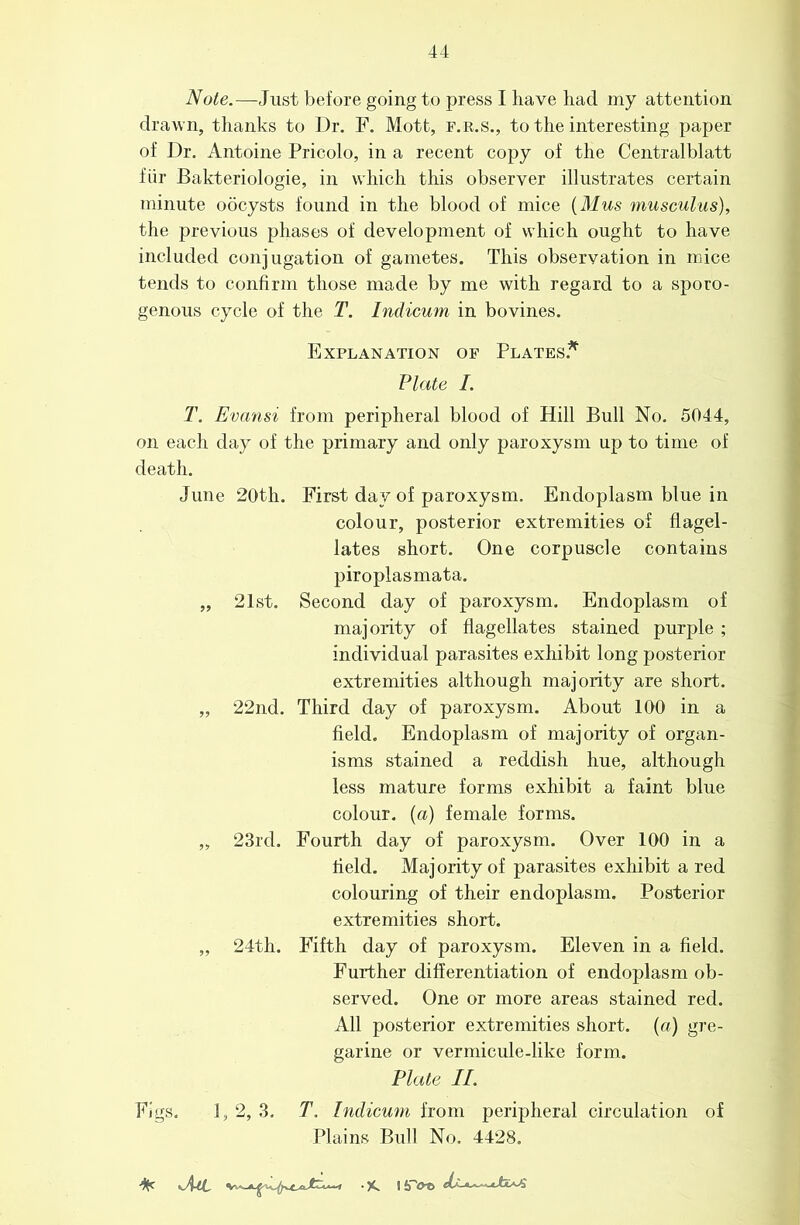 Note.—Just before going to press I have had my attention drawn, thanks to Dr. F. Mott, f.r.s., to the interesting paper of Dr, Antoine Pricolo, in a recent copy of the Centralblatt fiir Bakteriologie, in which this observer illustrates certain minute oocysts found in the blood of mice {Mus musculus), the previous phases of development of which ought to have included conjugation of gametes. This observation in mice tends to confirm those made by me with regard to a sporo- genous cycle of the T. Indicum in bovines. Explanation of Plates.^ Plate I. T. Evansi from peripheral blood of Hill Bull No. 5044, on each day of the primary and only paroxysm up to time of death. June 20th. First day of paroxysm. Endoplasm blue in colour, posterior extremities of flagel- lates short. One corpuscle contains piroplasmata. „ 21st. Second day of paroxysm. Endoplasm of majority of flagellates stained purple ; individual parasites exhibit long posterior extremities although majority are short. „ 22nd. Third day of paroxysm. About 100 in a field. Endoplasm of majority of organ- isms stained a reddish hue, although less mature forms exhibit a faint blue colour, (a) female forms. „ 23rd. Fourth day of paroxysm. Over 100 in a field. Majority of parasites exhibit a red colouring of their endoplasm. Posterior extremities short. „ 24th. Fifth day of paroxysm. Eleven in a field. Further differentiation of endoplasm ob- served. One or more areas stained red. All posterior extremities short, (a) gre- garine or vermicule-like form. Plate II. Figs, 1, 2, 3, T, Indicum from peripheral circulation of Plains Bull No. 4428. ^ • X. 1 iPot> di