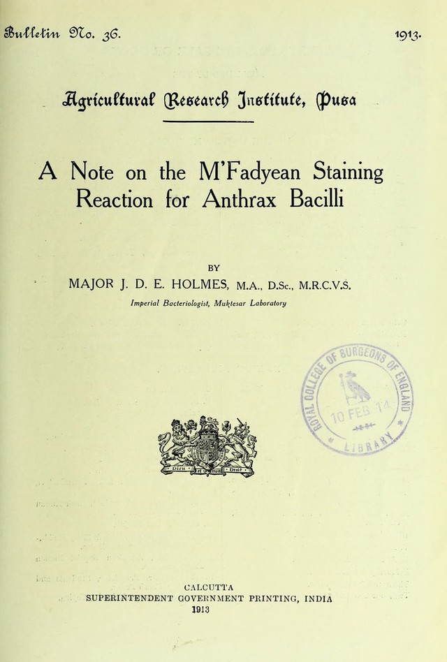 digitised image 3