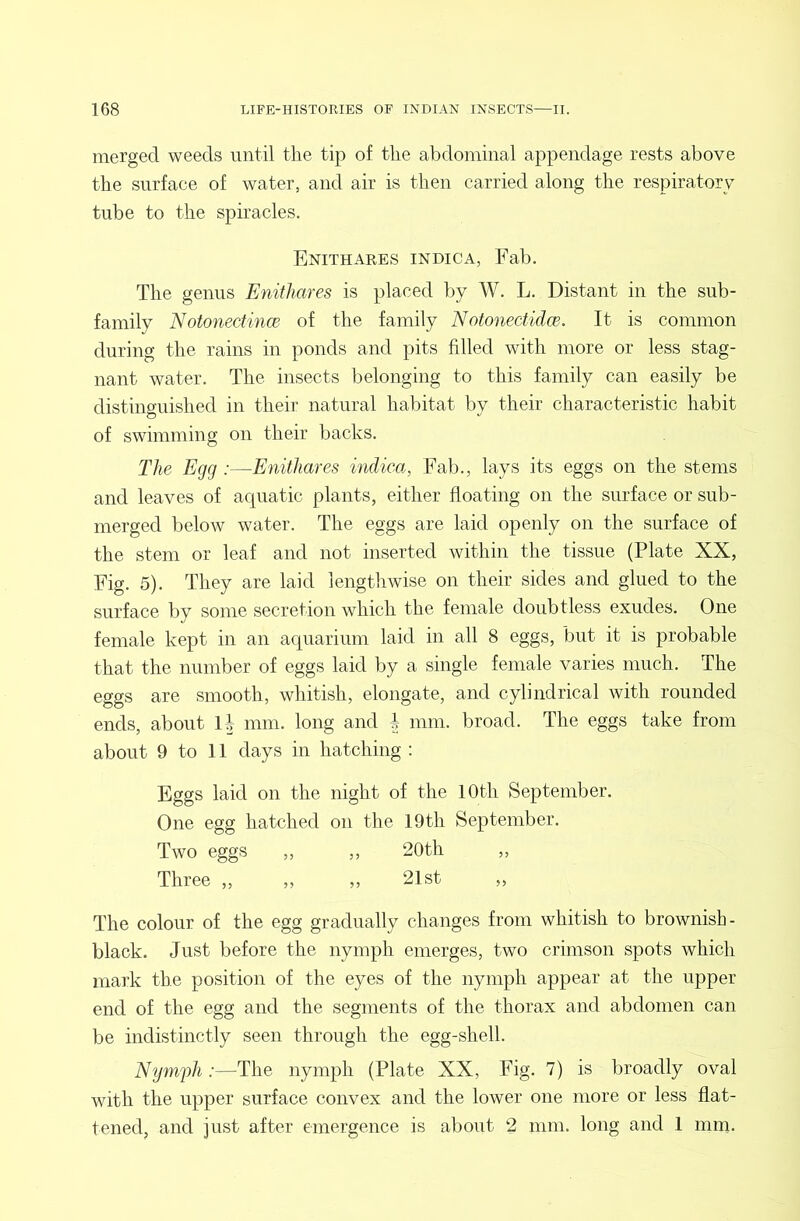 merged weeds until the tip of the abdominal appendage rests above the surface of water, and air is then carried along the respiratory tube to the spiracles. Enithares indica, Fab. The genus Enithares is placed by W. L. Distant in the sub- family NotonectiiKB of the family NotonectidcB. It is common during the rains in ponds and pits filled with more or less stag- nant water. The insects belonging to this family can easily be distinguished in their natural habitat by their characteristic habit of swimming on their backs. The Egg :—Enithares indica, Fab., lays its eggs on the stems and leaves of acpiatic plants, either floating on the surface or sub- merged below water. The eggs are laid openly on the surface of the stem or leaf and not inserted within the tissue (Plate XX, Fig. 5). They are laid lengthwise on their sides and glued to the surface by some secretion which the female doubtless exudes. One female kept in an aquarium laid in all 8 eggs, but it is probable that the number of eggs laid by a single female varies much. The eggs are smooth, whitish, elongate, and cylindrical with rounded ends, about U mm. long and h mm. broad. The eggs take from about 9 to 11 days in hatching : Eggs laid on the night of the 10th September. One egg hatched on the 19th September. Two eggs „ ,, 20th „ Three „ ,, ,, 21st „ The colour of the egg gradually changes from whitish to brownish- black. Just before the nymph emerges, two crimson spots which mark the position of the eyes of the nymph appear at the upper end of the egg and the segments of the thorax and abdomen can be indistinctly seen through the egg-shell. Nym'ph .-—The nymph (Plate XX, Fig. 7) is broadly oval with the upper surface convex and the lower one more or less flat- tened, and just after emergence is about 2 mm. long and 1 mm.