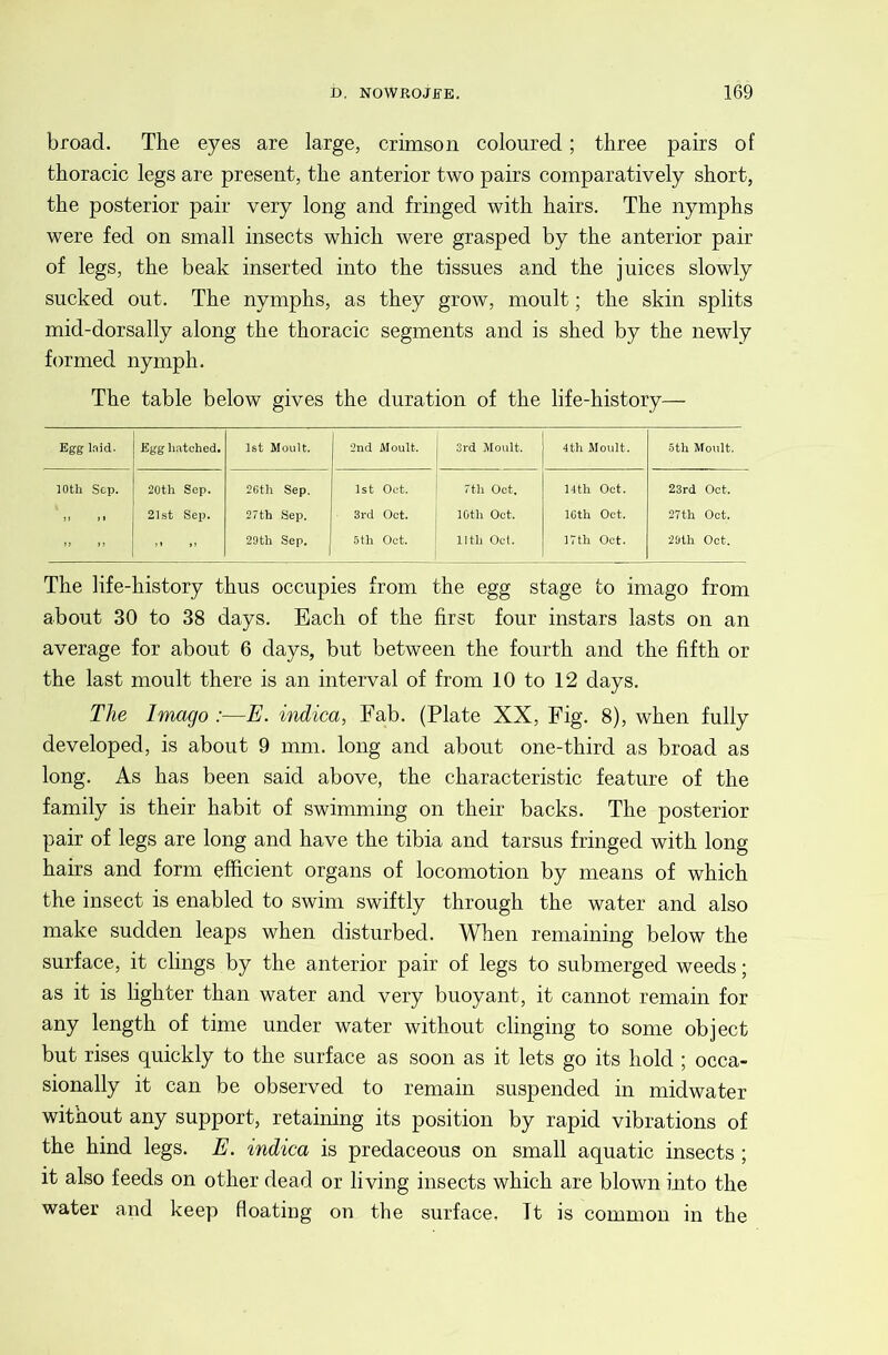broad. The eyes are large, crimson coloured; three pairs of thoracic legs are present, the anterior two pairs comparatively short, the posterior pair very long and fringed with hairs. The nymphs were fed on small insects which were grasped by the anterior pair of legs, the beak inserted into the tissues and the juices slowly sucked out. The nymphs, as they grow, moult; the skin splits mid-dorsally along the thoracic segments and is shed by the newly formed nymph. The table below gives the duration of the life-history— Egg laid. Egg hatched. 1st Moult. 2nd Moult. 3rd Moult. 4th Moult. 5th Moult. lOtli Sep. 20th Sep. 26th Sep. 1st Oct. 7th Get. 14th Oct. 23rd Oct. 21st Sep. 27th Sep. 3rd Oct. 10th Oct. ICth Oct. 27th Oct. „ 29th Sep. 5 th Oct. llth Ocl. 17th Oct. 29th Oct. The life-history thus occupies from the egg stage to imago from about 30 to 38 days. Each of the first four instars lasts on an average for about 6 days, but between the fourth and the fifth or the last moult there is an interval of from 10 to 12 days. The Imago :■—E. indica, Fab. (Plate XX, Fig. 8), when fully developed, is about 9 mm. long and about one-third as broad as long. As has been said above, the characteristic feature of the family is their habit of swimming on their backs. The posterior pair of legs are long and have the tibia and tarsus fringed with long hairs and form efficient organs of locomotion by means of which the insect is enabled to swim swiftly through the water and also make sudden leaps when disturbed. When remaining below the surface, it clings by the anterior pair of legs to submerged weeds; as it is lighter than water and very buoyant, it cannot remain for any length of time under water without clinging to some object but rises quickly to the surface as soon as it lets go its hold ; occa- sionally it can be observed to remain suspended in midwater without any support, retaining its position by rapid vibrations of the hind legs. E. indica is predaceous on small aquatic insects ; it also feeds on other dead or living insects which are blown into the water and keep floating on the surface, Tt is common in the