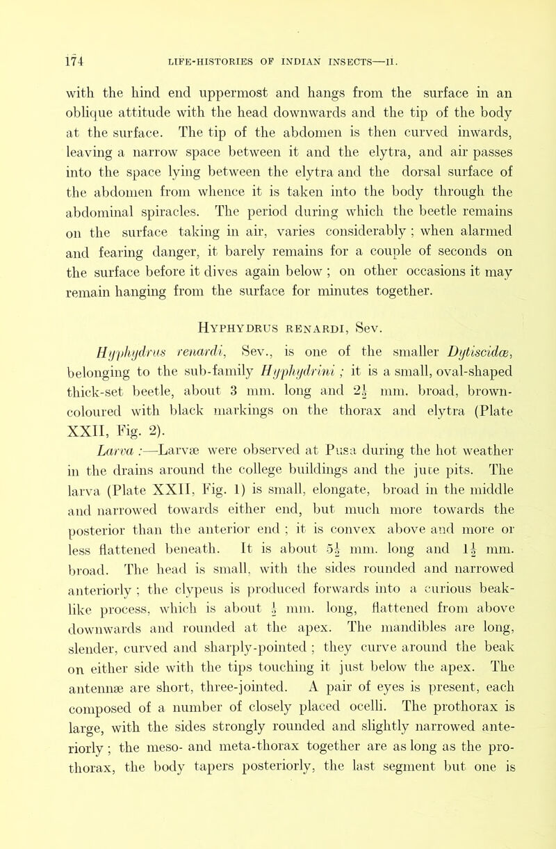 with the hind end uppermost and hangs from the surface in an oblique attitude with the head downwards and the tip of the body at the surface. The tip of the abdomen is then curved inwards, leaving a narrow space between it and the elytra, and air passes into the space lying between the elytra and the dorsal surface of the abdomen from whence it is taken into the body through the abdominal spiracles. The period during which the beetle remains on the surface taking in air, varies considerably ; when alarmed and fearing danger, it barely remains for a couple of seconds on the surface before it dives again below ; on other occasions it may remain hanging from the surface for minutes together. Hyphydrus renardi, Sev. H/jphtfdrus renardi, Sev., is one of the smaller DijtiscidcB, belonging to the sub-family Hijphydrini; it is a small, oval-shaped thick-set beetle, about 3 mm. long and 2.1 mm. broad, brown- coloured with black markings on the thorax and elytra (Plate XXII, Fig. 2). Larva :—Larvae were observed at Pusa during the hot weather in the drains around the college buildings and the juce pits. The larva (Plate XXII, Fig. 1) is small, elongate, broad in the middle and narrowed towards either end, but much more towards the posterior than the anterior end ; it is convex above and more or less flattened beneath. It is about mm. long and mm. broad. The head is small, with the sides rounded and narrowed anteriorly ; the clypeus is produced forwards into a curious beak- like process, which is about 1 mm. long, flattened from above downwards anil rounded at the apex. The mandibles are long, slender, curved and sharply-pointed ; they curve around the beak on either side with the tips touching it just below the apex. The antennse are short, three-jointed. A pair of eyes is jiresent, each composed of a number of closely placed ocelli. The prothorax is large, with the sides strongly rounded and slightly narrowed ante- riorly ; the meso- and meta-thorax together are as long as the pro- thorax, the liody tapers posteriorly, the last segment but one is