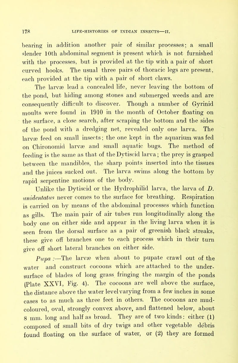 bearing in addition another pair of similar processes; a small slender lOtli abdominal segment is present which is not furnished with the processes, but is provided at the tip with a pair of short curved hooks. The usual three pairs of thoracic legs are present, each provided at the tip with a pair of short claws. The larvae lead a concealed life, never leaving the bottom of the pond, but hiding among stones and submerged weeds and are consequently difficult to discover. Though a number of Gyrinid moults were found in 1910 in the month of October floating on the surface, a close search, after scraping the bottom and the sides of the pond with a dredging net, revealed only one larva. The larvae feed on small insects; the one kept in the aquarium was fed on Chironomid larvae and small aquatic bugs. The method of feeding is the same as that of the Dytiscid larva; the prey is grasped between the mandibles, the sharp points inserted into the tissues and the juices sucked out. The larva swims along the bottom by rapid serpentine motions of the body. Unlike the Dytiscid or the Hydrophilid larva, the larva of D. unidentatm never comes to the surface for breathing. Respiration is carried on by means of the abdominal processes which function as gills. The main pair of air tubes run longitudinally along the body one on either side and appear in the living larva when it is seen from the dorsal surface as a pair of greenish black streaks, these give off branches one to each process which in their turn give off short lateral branches on either side. Pufa :—The larvae when about to pupate crawl out of the water and construct cocoons which are attached to the under- surface of blades of long grass fringing the margin of the ponds (Plate XXVI, Fig. 4). The cocoons are well above the surface, the distance above the water level varying from a few inches in some cases to as much as three feet in others. The cocoons are mud- coloured, oval, strongly convex above, and flattened below, about 8 mm. long and half as broad. They are of two kinds: either (1) composed of small bits of dry twigs and other vegetable debris found floating on the surface of water, or (2) they are formed