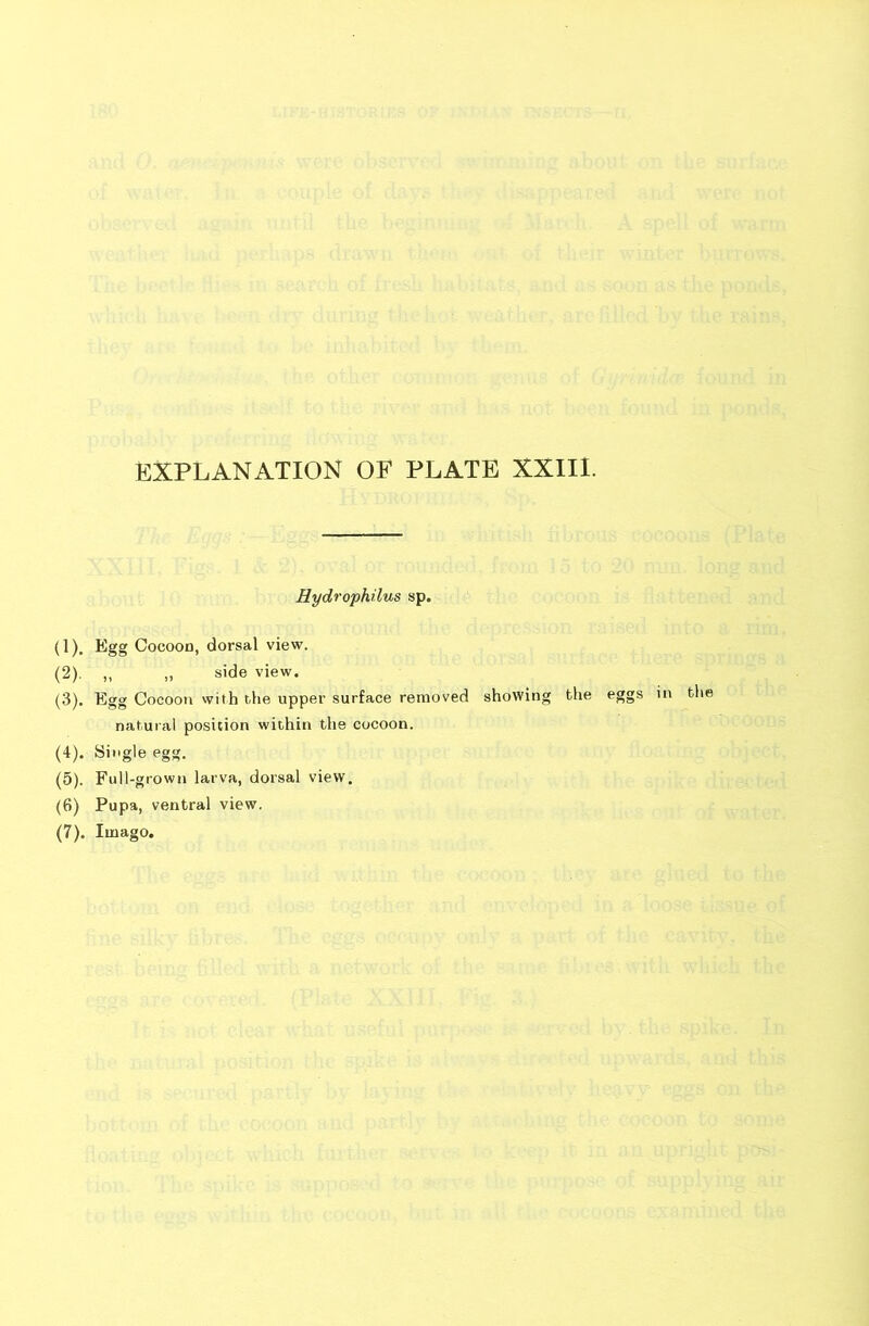 EXPLANATION OF PLATE XXIII. Hydrophilus sp. (1) . Egg Cocoon, dorsal view. (2) . ,, ,, side view. (3) . Egg Cocoon with the upper surface removed showing the natural position within the cocoon. (4) . Single egg. (5) . Full-grown larva, dorsal view. (6) Pupa, ventral view. (7) . Imago.