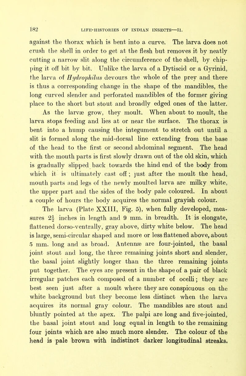 against the thorax which is bent into a curve. The larva does not crush the shell in order to get at the flesh but removes it by neatly cutting a narrow slit along the circumference of the shell, by chip- ping it off bit by bit. Unlike the larva of a Dytiscid or a Gyrinid, the larva of Hydrophilus devours the whole of the prey and there is thus a corresponding change in the shape of the mandibles, the long curved slender and perforated mandibles of the former giving place to the short but stout and broadly edged ones of the latter. As the larvae grow, they moult. When about to moult, the larva stops feeding and lies at or near the surface. The thorax is bent into a hump causing the integument to stretch out until a slit is formed along the mid-dorsal line extending from the base of the head to the first or second abdominal segment. The head with the mouth parts is first slowly drawn out of the old skin, which is gradually slipped back towards the hind end of the body from which it is ultimately cast off ; just after the moult the head, mouth parts and legs of the newly moulted larva are milky white, the upper part and the sides of the body pale coloured. In about a couple of hours the body acquires the normal grayish colour. The larva (Plate XXIII, Fig. 5), when fully developed, mea- sures 2| inches in length and 9 mm. in breadth. It is elongate, flattened dorso-ventrally, gray above, dirty white below. The head is large, semi-circular shaped and more or less flattened above, about .5 mm. long and as broad. Antennae are four-jointed, the basal joint stout and long, the three remaining joints short and slender, the basal joint slightly longer than the three remaining joints put together. The eyes are present in the shape of a pair of black irregular patches each composed of a number of ocelli; they are best seen just after a moult where they are conspicuous on the white background but they become less distinct when the larva acquires its normal gray colour. The mandibles are stout and bluntly pointed at the apex. The palpi are long and five-jointed, the basal joint stout and long equal in length to the remaining four joints which are also much more slender. The colour of the head is pale brown with indistinct darker longitudinal streaks.