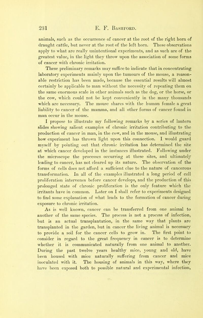 animals, sucli as the occurrence of cancer at the root of the right horn of draught cattle, but never at the root of the left horn. These observations apply to what are really unintentional experiments, and as such are of the greatest value, in the light they throw upon the association of some forms of cancer wnth chronic irritation. These preliminary remarks may suffice to indicate that in concentrating laboratory experiments mainly upon the tumours of the mouse, a reason- able restriction has been made, because the essential results will almost certainly be applicable to man without the necessity of repeating them on the same enormous scale in other animals such as the dog, or the horse, or the cow, which could not be kept conveniently in the many thousands which are necessary. The mouse shares with the human female a great liability to cancer of the mamma, and all other forms of cancer found in man occur in the mouse. I propose to illustrate my following remarks by a series of lantern slides showing salient examples of chronic irritation contributing to the production of cancer in man, in the cow, and in the mouse, and illustrating how experiment has thrown light upon this connection. I would guard myself by pointing out that chronic irritation has determined the site at which cancer developed in the instances illusti’ated. Following under the microscope the processes occurring at these sites, and ultimately leading to cancer, has not cleared up its nature. The observation of the forms of cells does not afford a sufficient clue to the nature of cancerous transformation. In all of the examples illustrated a long period of cell proliferation intervenes before cancer develops, and the production of this prolonged state of chronic proliferation is the only feature which the irritants have in common. Later on I shall refer to experiments designed to find some explanation of what leads to the formation of cancer during exposure to clu’onic irritation. As is well known, cancer can be transferred from one animal to another of the same species. The process is not a process of infection, but is an actual transplantation, in the same way that plants are transplanted in the garden, but in cancer the living animal is necessary to provide a soil for the cancer cells to grow in. The first point to consider in regard to the great frequency in cancer is to determine whether it is communicated naturally from one animal to another. During the past twelve years healthy mice, young and old, have been housed with mice naturally suffering from cancer and mice inoculated with it. The housing of animals in this way, where they have been exposed both to possible natural and experimental infection.