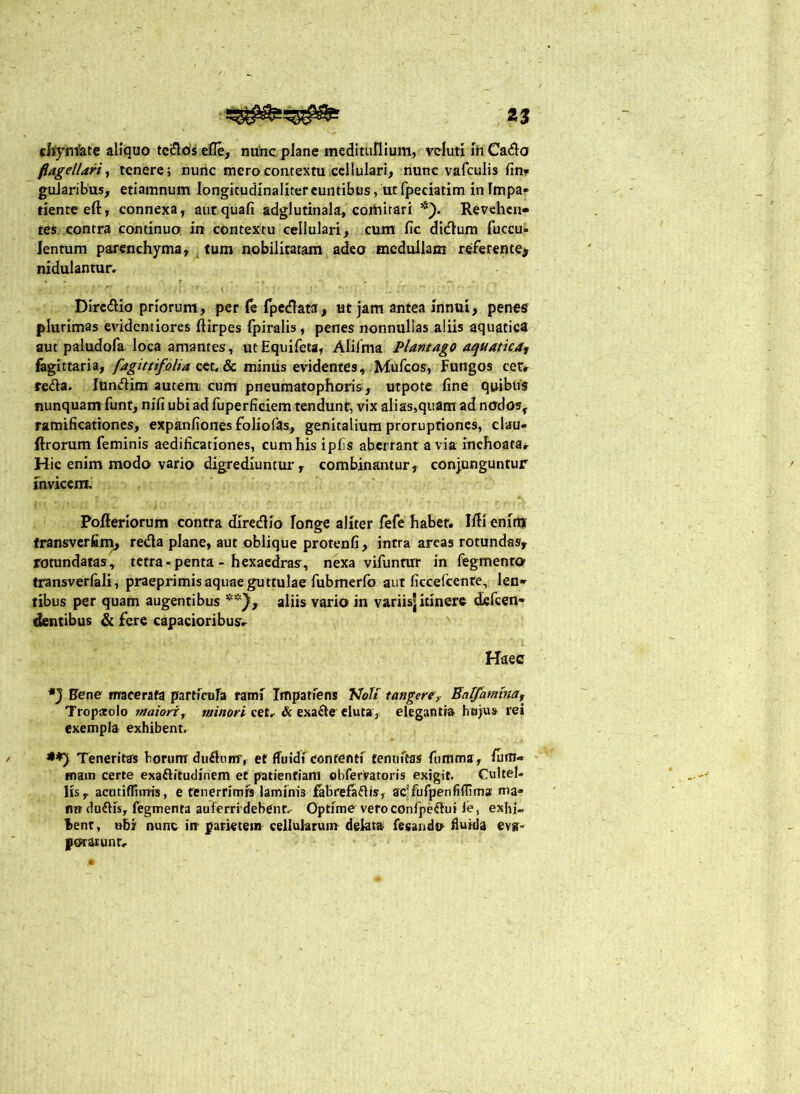 chynVate aliquo te^losefle, nutic, plane meditullium, vcluti In Cado flagellari^ tenere; nunc mero contextu cellulari, nunc vafculis fin» guJaribus, etiamnum longicudinalitereuntibus, utfpeciatim inlmpa» dente eft, connexa, aurquafi adglutinala, comitari Revehen- tes contra continuo in contextu cellulari, cum fic didum fuccu- lentum parenchyma, j tum nobilitatam adeo medullam referente> nidulantucr Diredio priorum, per Te fpedata, ut jam antea innui, penes plurimas eridentiores ftirpes fpiralis, penes nonnullas aliis aquatica aut paludofa loca amantes, utEquifeta, Alilma Plantago aquatica, fegittaria, cet,& miniis evidentes, .Mufeos, Fungos cer^ reda. lundim autem cum pneumatophoris, utpote fine quibus nunquam funt, nifi ubi ad fuperficiem tendunr, vix alias,quam ad nodos, ramificationes, expanfiones folio fas, genitalium proruptiones, clau- ftrorum feminis aedificationes, cum his ipfis aberrant avia inchoatar Hic enim modo vario digrediuntur, combinantur, conjunguntur invicem. Pofteriorum contra diredio longe aliter fefe habet. Illi enirty fransverfim^ reda plane, aut oblique protenfi, intra areas rotundas, rotundatas, tetra-penta- hexaedras, nexa vifuntur in fegmenro’ Iransverfali, praeprimis aquae guttulae fubmerfo aut ficcefcenre, len- tibus per quam augentibus aliis vario in variisj itinere defeen- dentibus & fere capacioribus;. Haec Eene macerata particula rami Impatiens TJbiir tangere, Ealfamma, Tropatolo maiori, minori cet, & exade eluta, elegantia hujus rei exempla exhibent. Teneritas horunr dudiinr, et fTuidicontenti tenuitas fiimms, lura- mam certe exaftitudinem et patientiam obferratoris exigit. Cultel- lis, acutiffiinis, e fenerrimfs laminis fabrefadis, ac^fufpenfifllm» ma- nirdudis, fegmenta auferri debenr. Optime vero confpedui le, exhi- bent, ubi nunc ia parietem cellularum delata fecando iluida eva- porarunt-