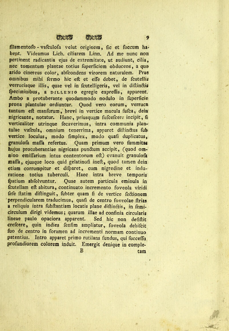 filamentofo - vafculofa velut originem, fic et fuccum ha- bent. Videamus Lich. ciliarem Lirm. Ad me nunc non pertinent radicantia ejus de extremitate, ut audiunt, cilia, nec tomentum plantae totius fuperficiem obducens, a quo arido cinereus color» abfcondens virorem naturalem. Prae omnibus mihi fermo hic eft et elTe debet, de fcutellis verrucisque illis, quae vel in fcutelligeris, vel in diftin&is fpeciminibus, a dillenio egregie expreflis, apparent. Ambo a protuberante quodammodo nodulo in fuperficie prona plantulae ordiuntur. Quod vero eorum, verruca Cantum eft manfurum, brevi in vertice macula fefca, dein nigricante, notatur. Hanc, priusquam fufcefcere incipit, fi verticaliter utrinque fecaverimus, intra communia plan- tulae vafcula, omnium tenerrima, apparet diftin&us fub vertice loculus, modo fimplex, modo quafi duplicatus, granulofa mafla refertus. Quam primum vero fummitas hujus protuberandae nigricans pun&um accipit, (quod om- nino eraiflarium intus contentorum eft) evanuit granulofa mafla, ejusque loco quid gelatinofi ineft, quod tamen dein etiam corrumpitur et difparet, cum nigredine et indu- ratione totius tuberculi. Haec intra breve temporis Ipatium abfolvuntur. Quae autem particula eminula in fcutellam eft abitura, continuato incremento foveola viridi fefe ftatim diftinguit, fubter quam fi de vertice feftionem perpendicularem traducimus, quafi de centro foveolae ftrias a reliquis intra fubftantiam locatis plane diftinflis, in femi- rirculum dirigi videmus; quarum illae ad confinia circularis lineae paulo opaciora apparent. Sed hic non defiftit crefcere, quin indies fenfim ampliatur, foveola dehifcit fuo de centro in foramen ad incrementi normam continuo patentius. Intro apparet primo rutilans fundus, qui fucceflu profundiorem colorem induit. Emergit denique in comple- B tam